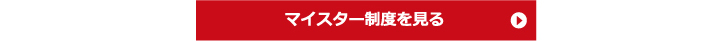 マイスター制度を見る