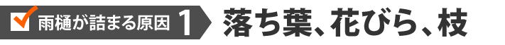 雨樋が詰まる原因1落ち葉、花びら、枝