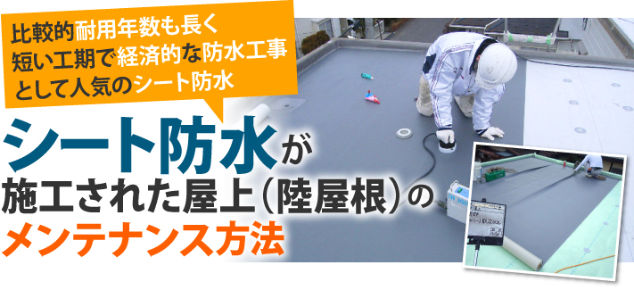 シート防水が施工された屋上（陸屋根）のメンテナンス方法