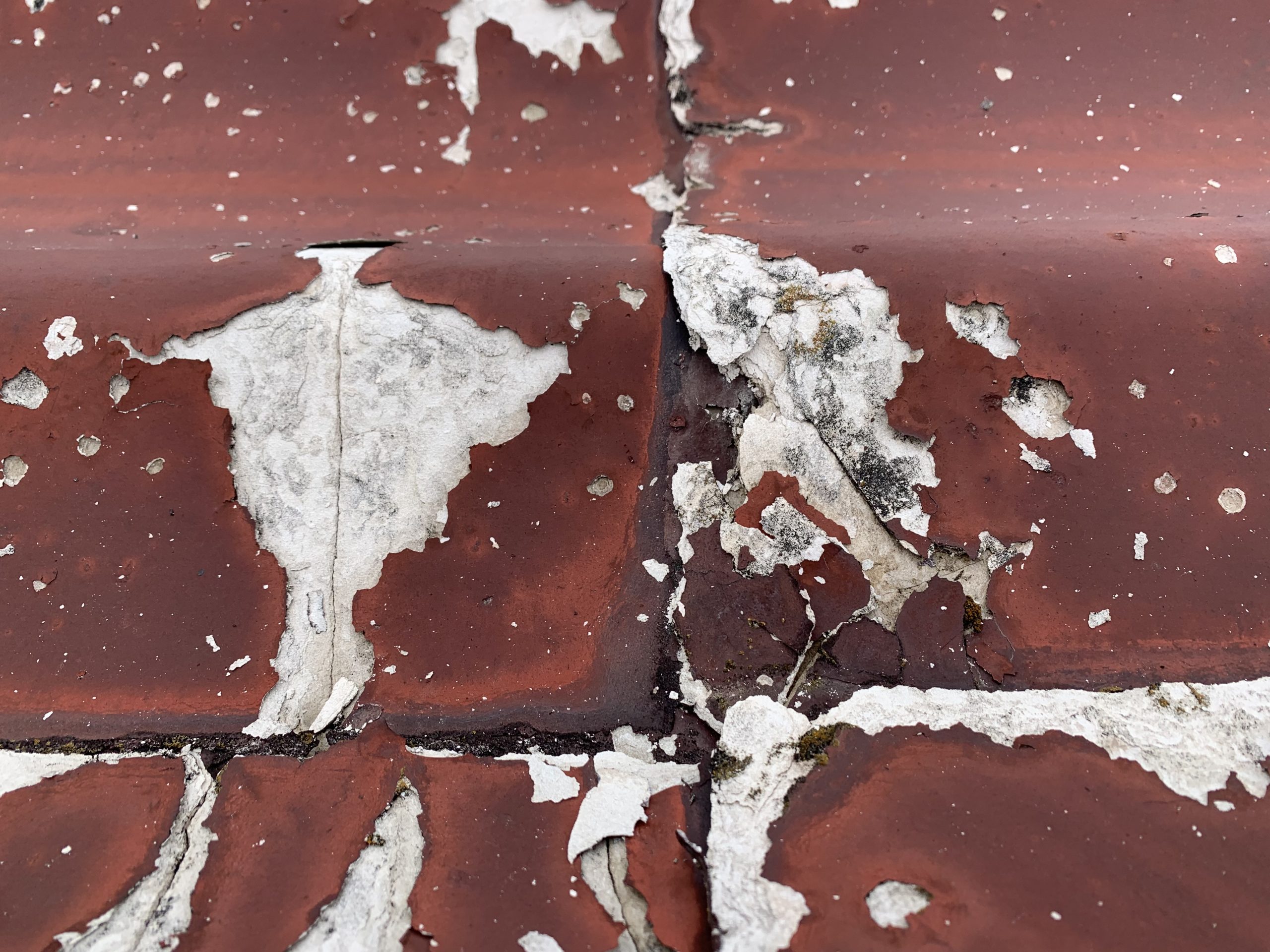 屋根全体が劣化し