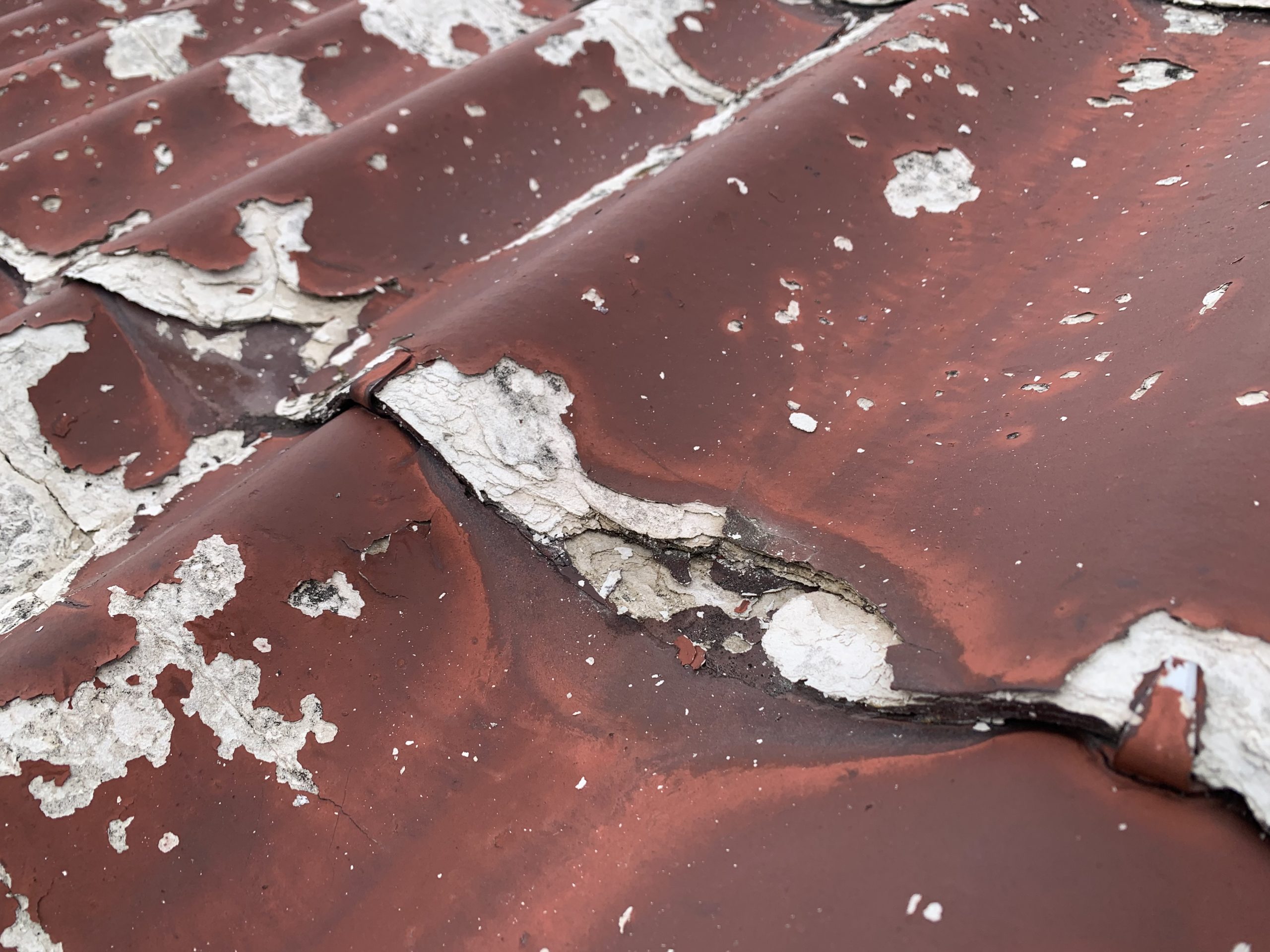 屋根全体が劣化し