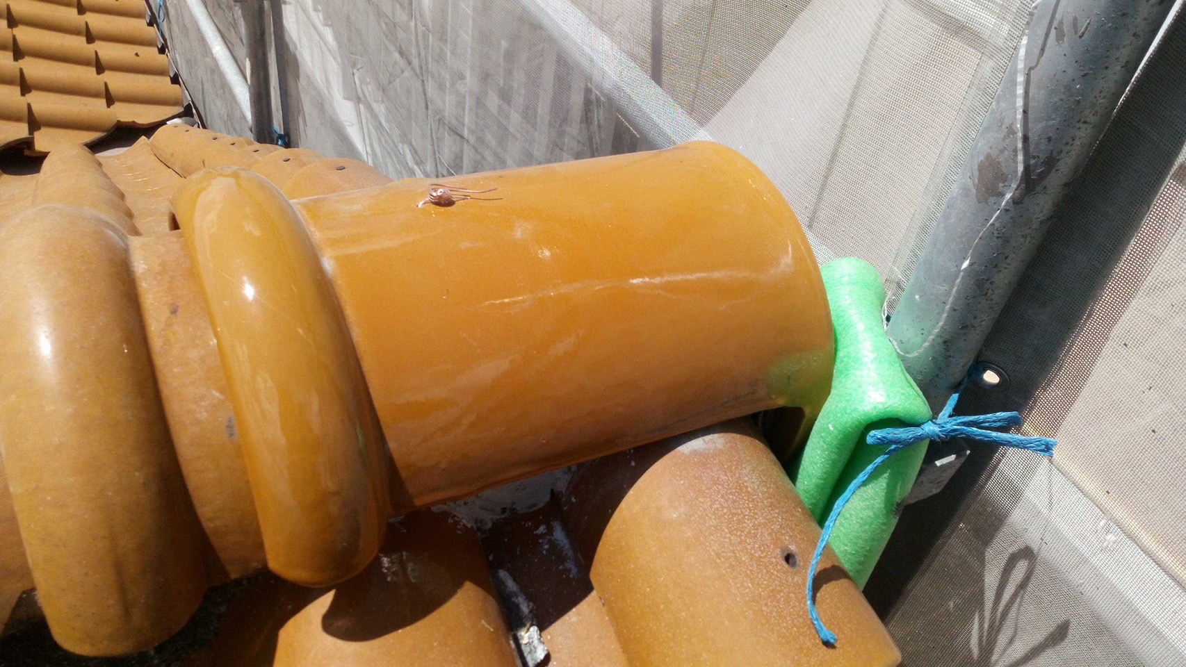 瀬戸市台風被害瓦修理