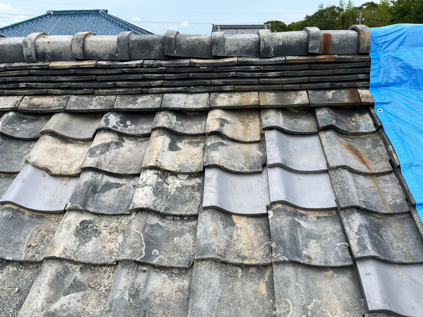 瓦差し替え完工