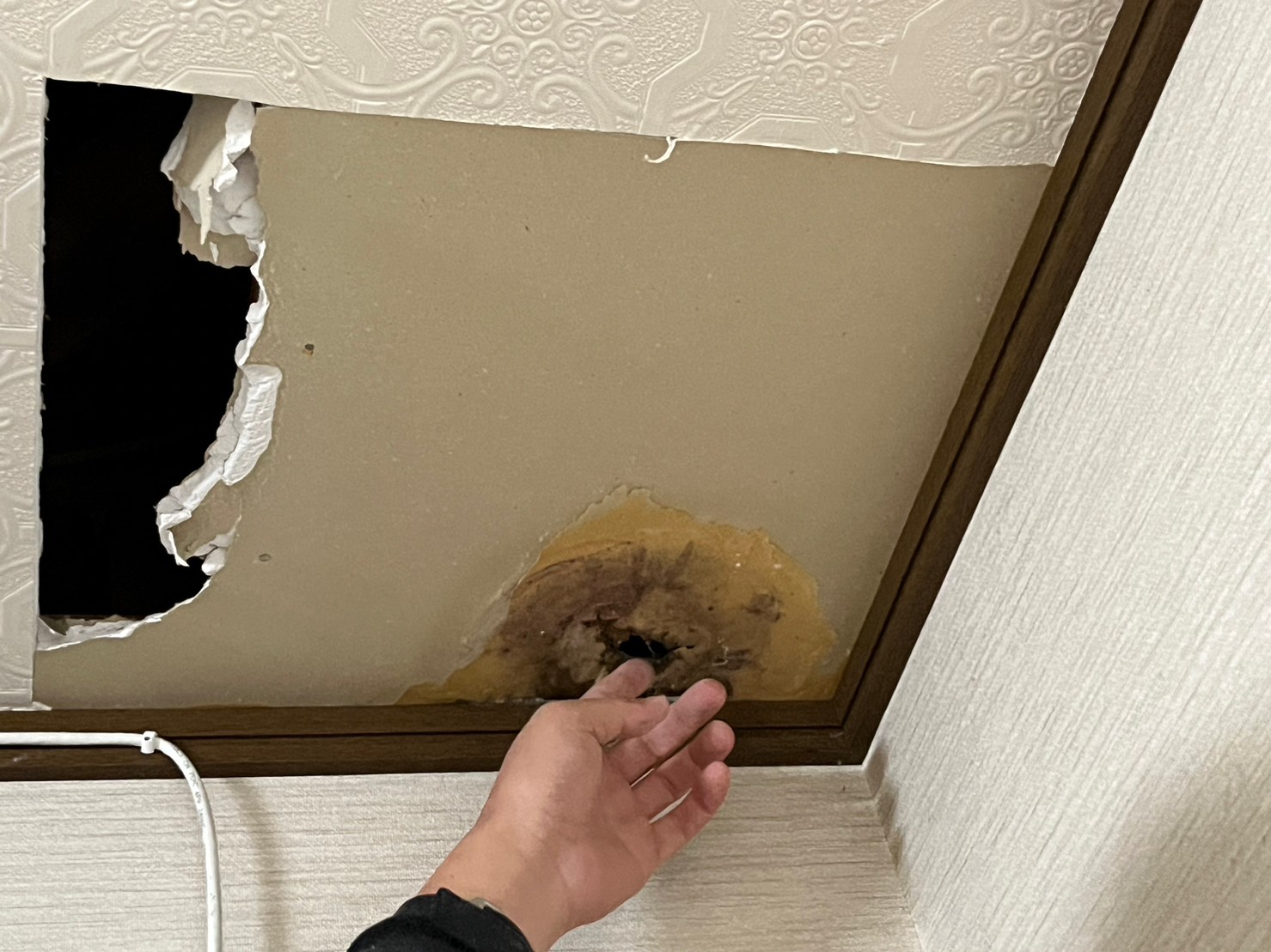 【瀬戸市の皆さま】原因不明の雨漏りを高性能サーモカメラで徹底調査しました