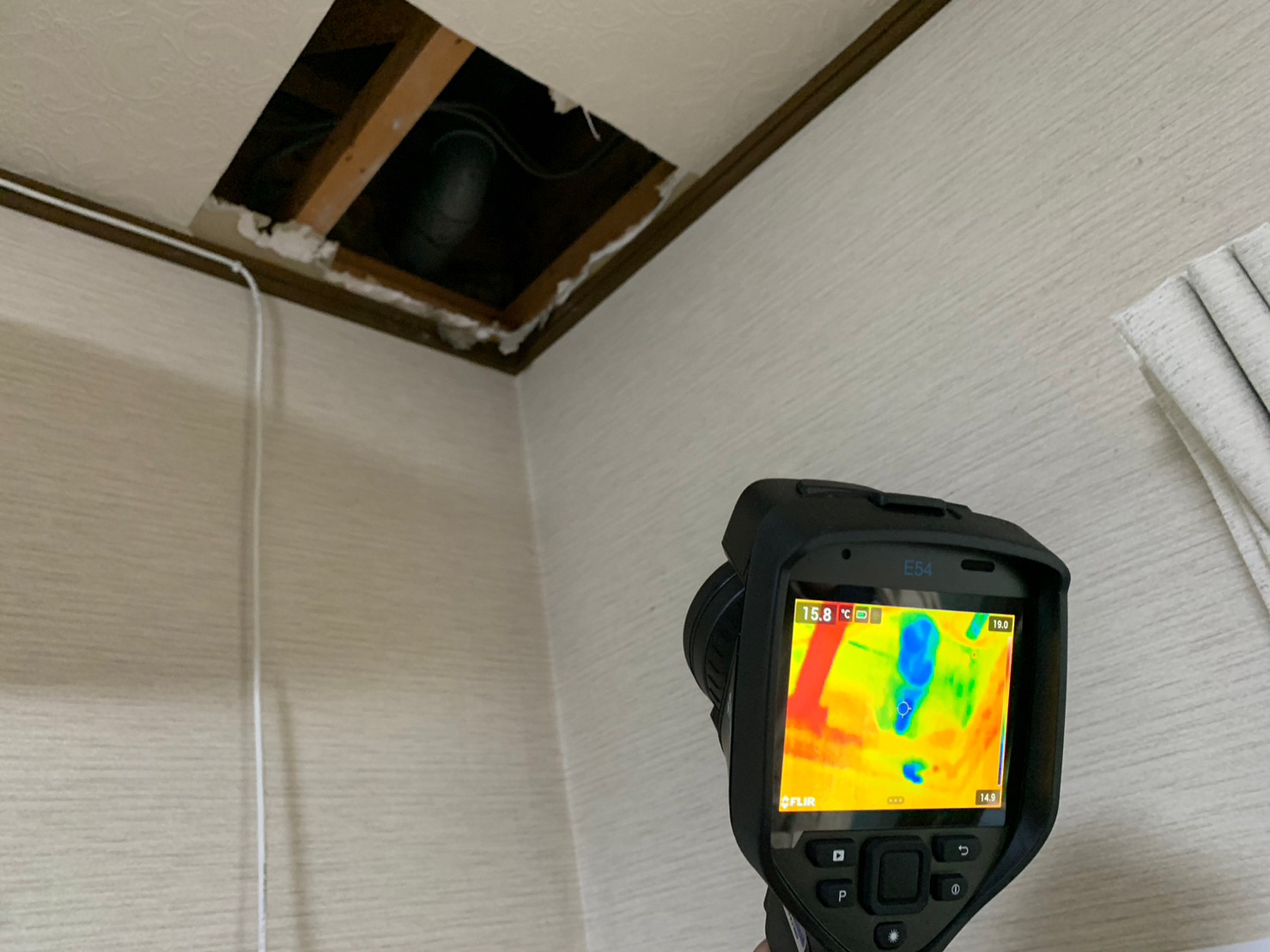 サーモカメラ撮影の様子