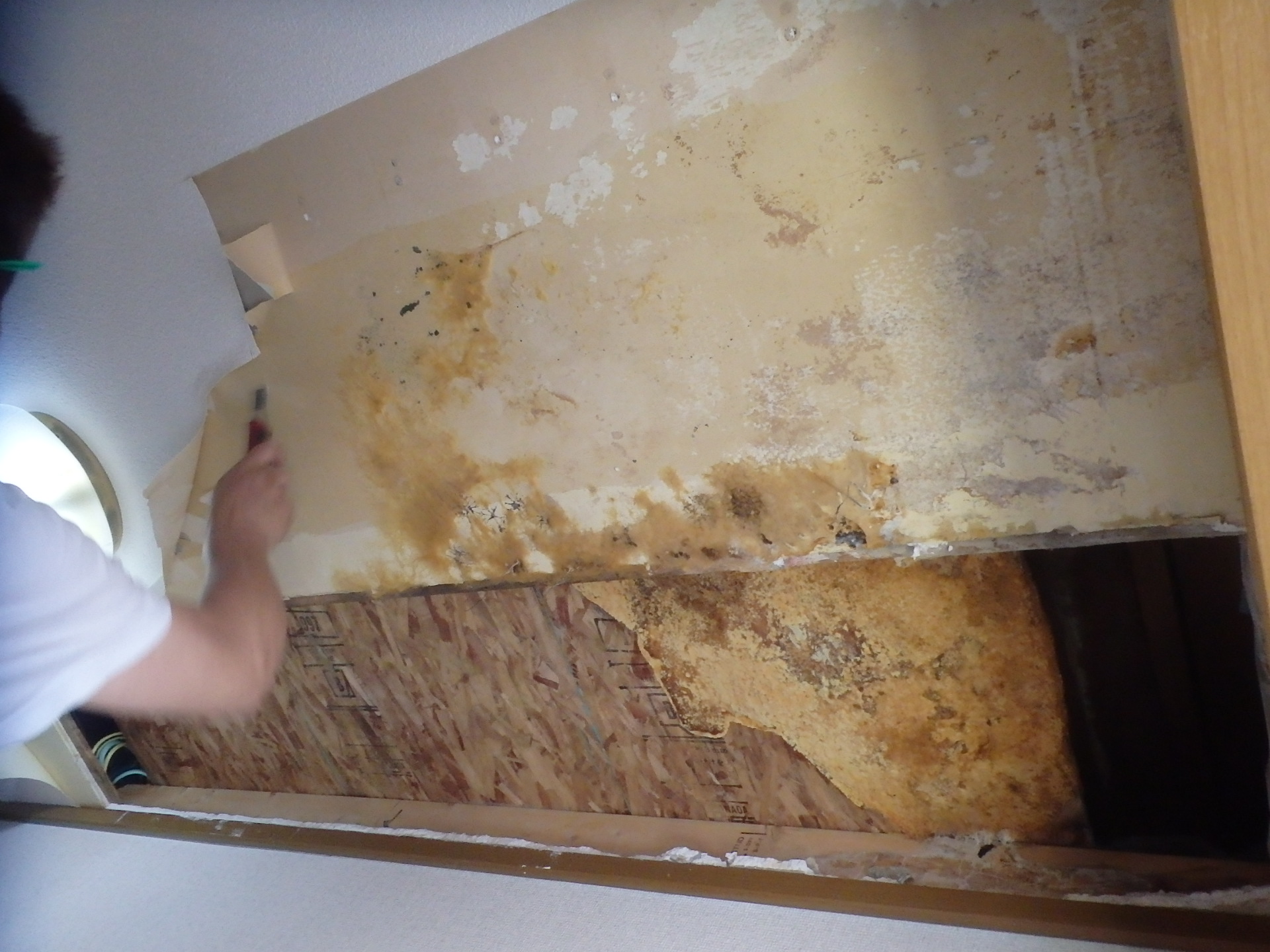 天井の劣化したプラスターボードの剥がし