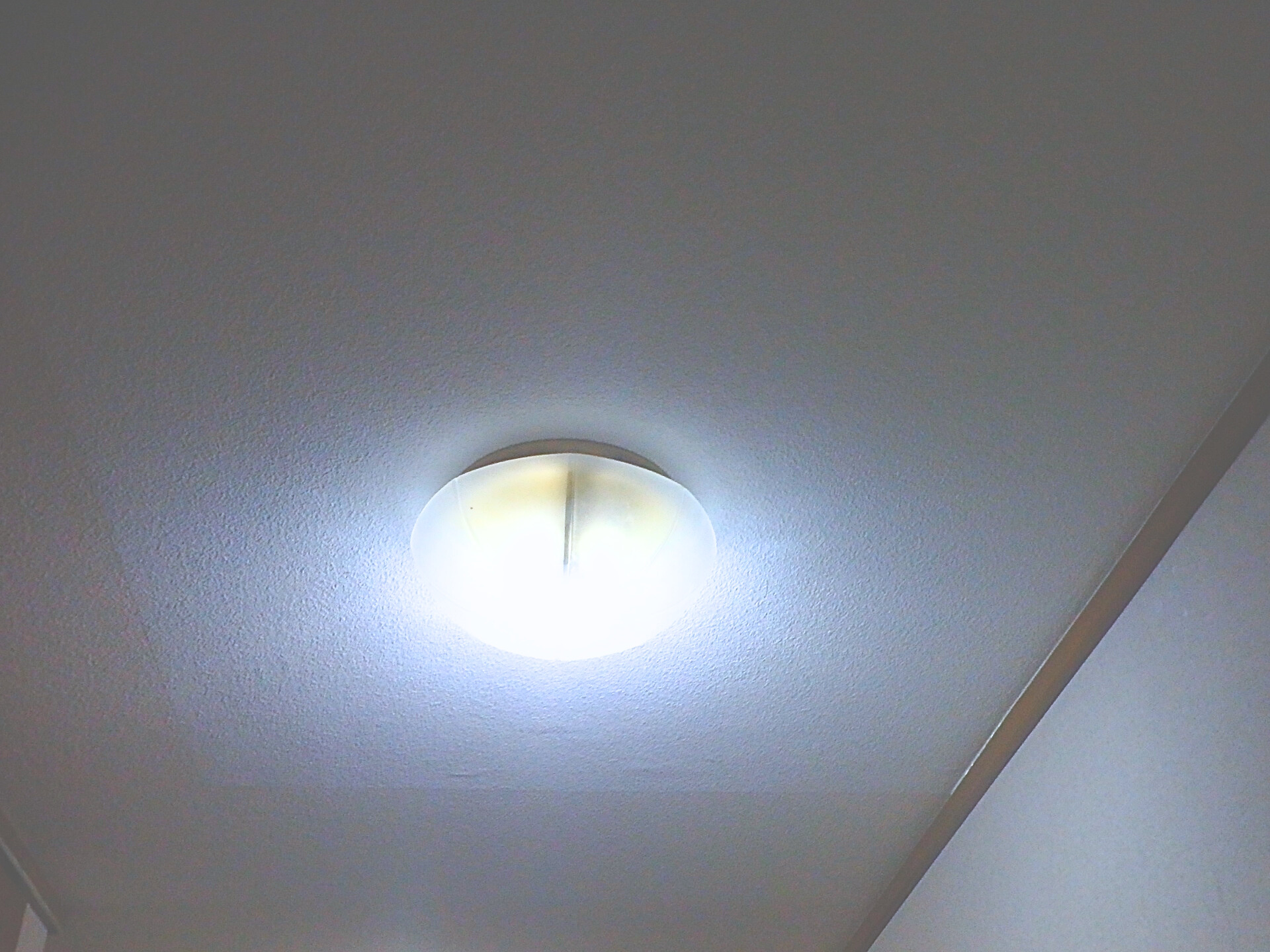 新しいクロスを張り完工