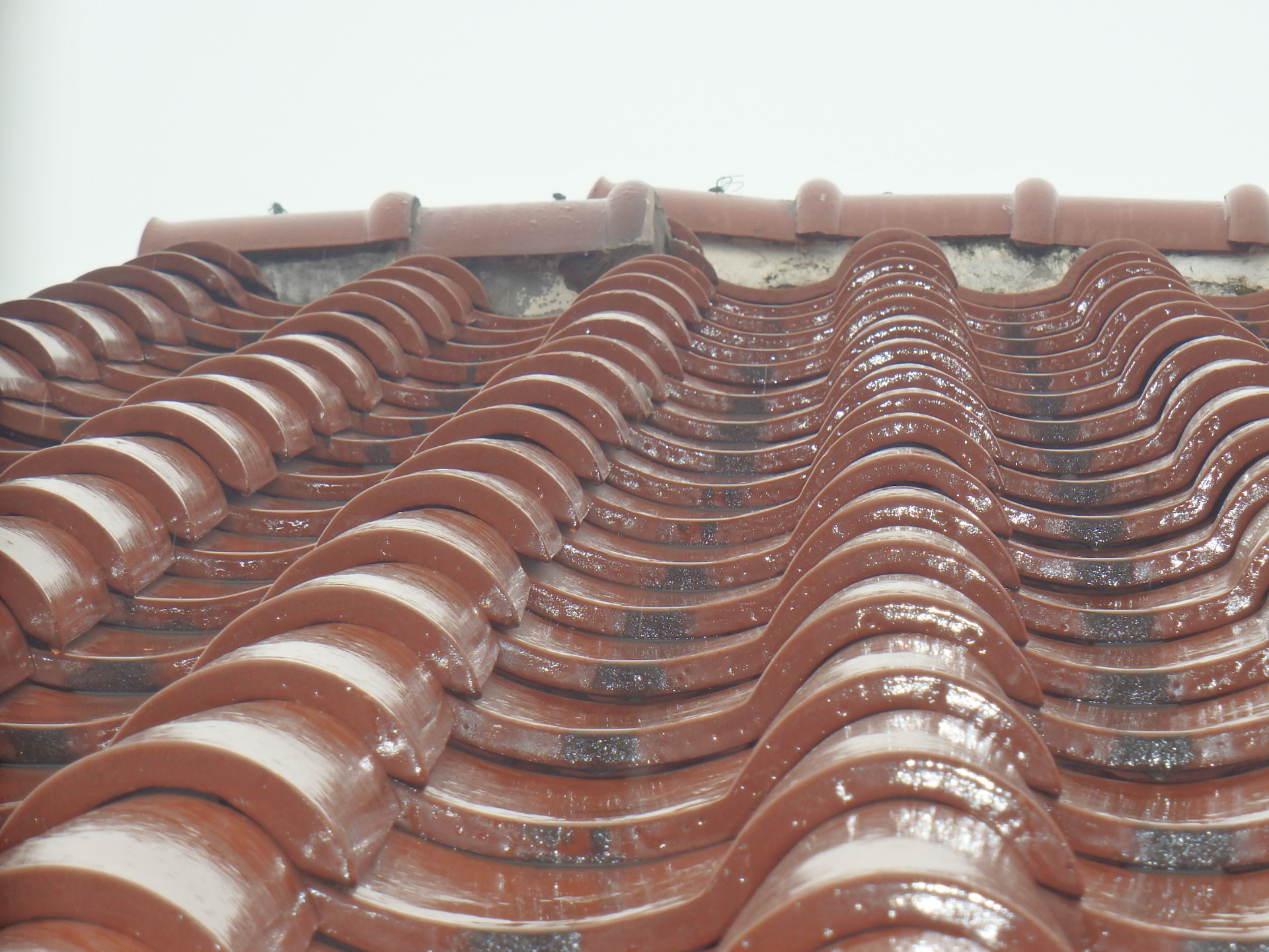 梅雨に入り雨漏れなどの屋根