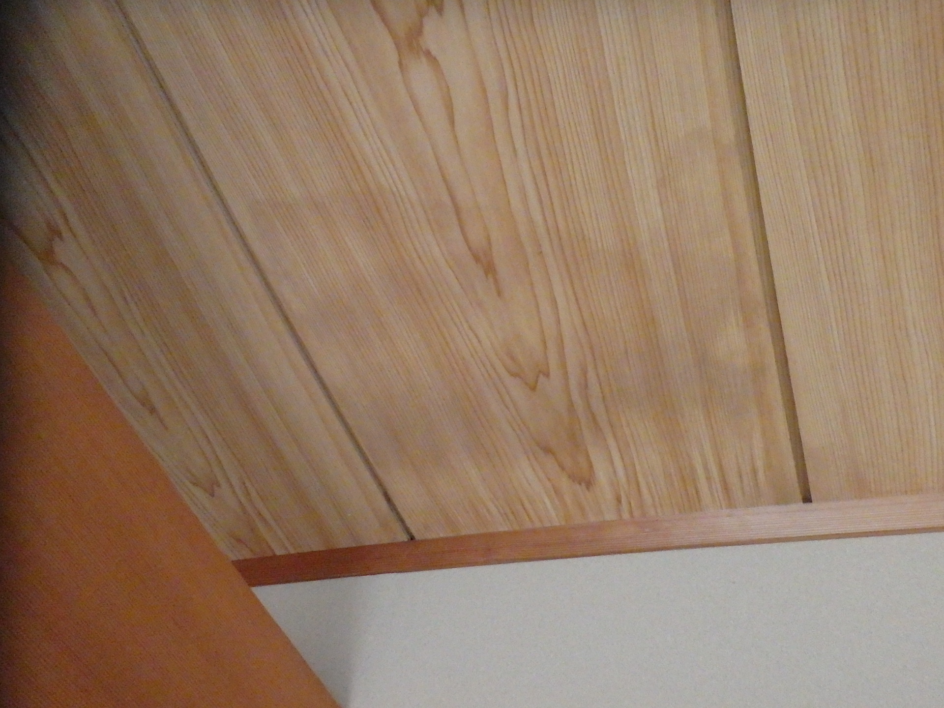 黒いカビが発生