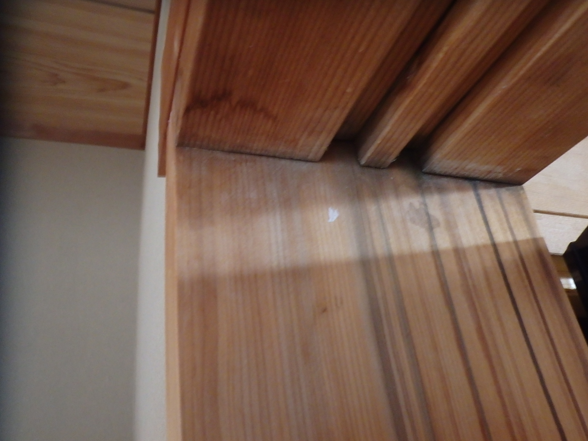 黒いカビが発生