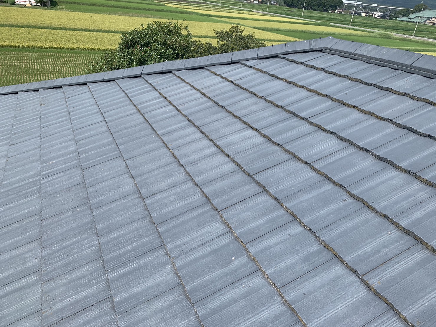 モニエル瓦の状態確認