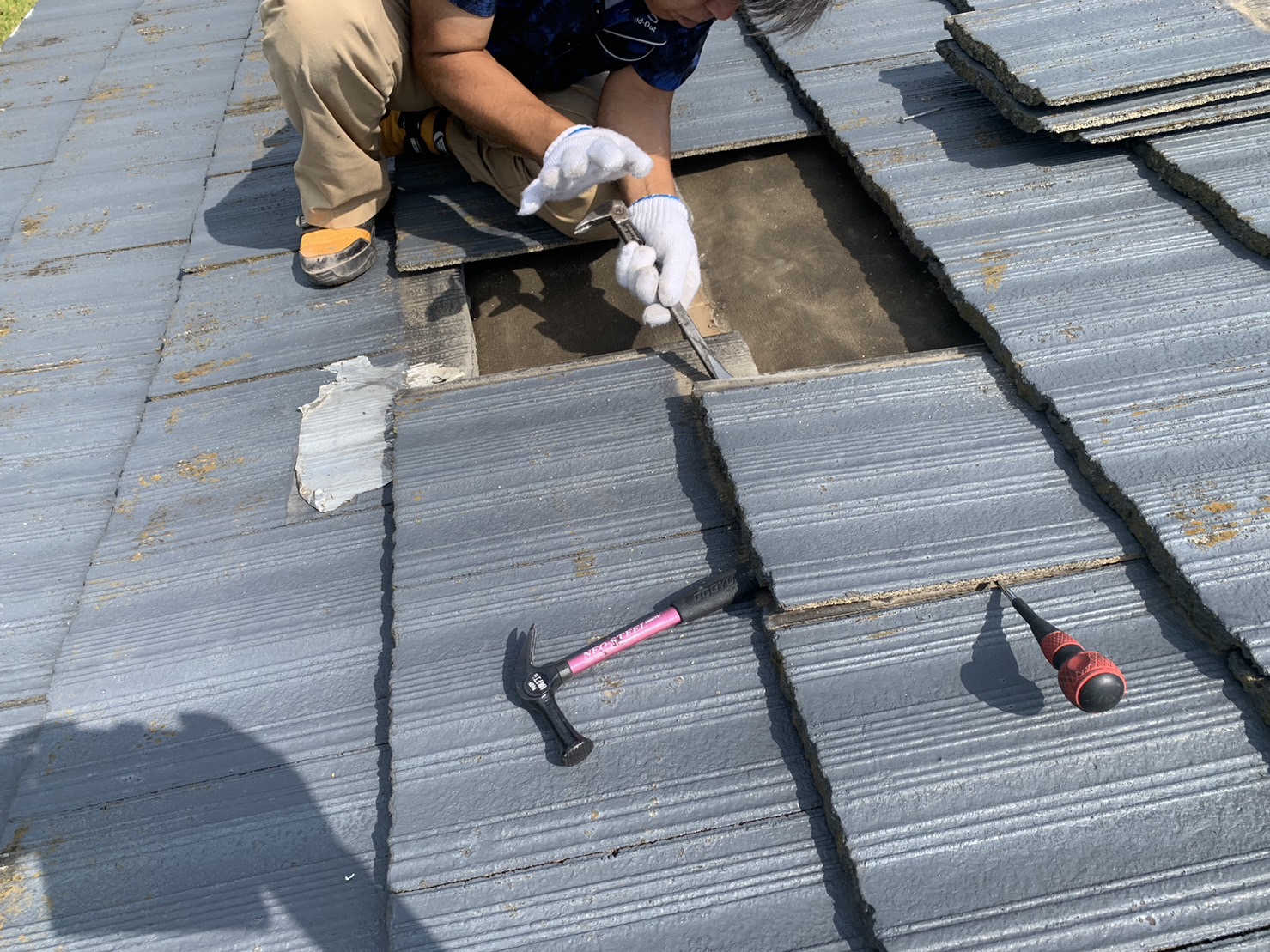 野地板腐食写真