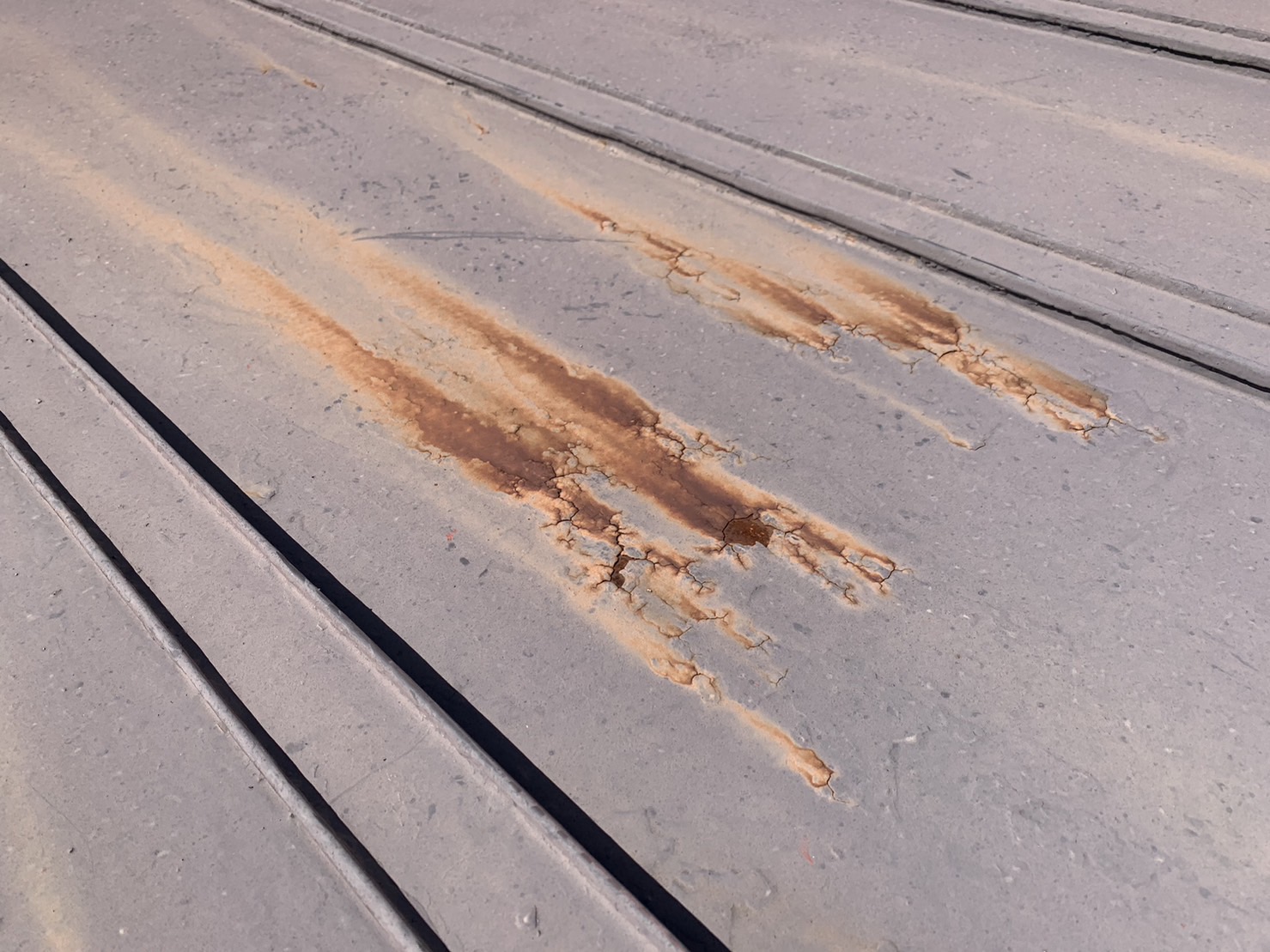 トタン屋根に穴は開いておらず辛うじて塗装が行える状況