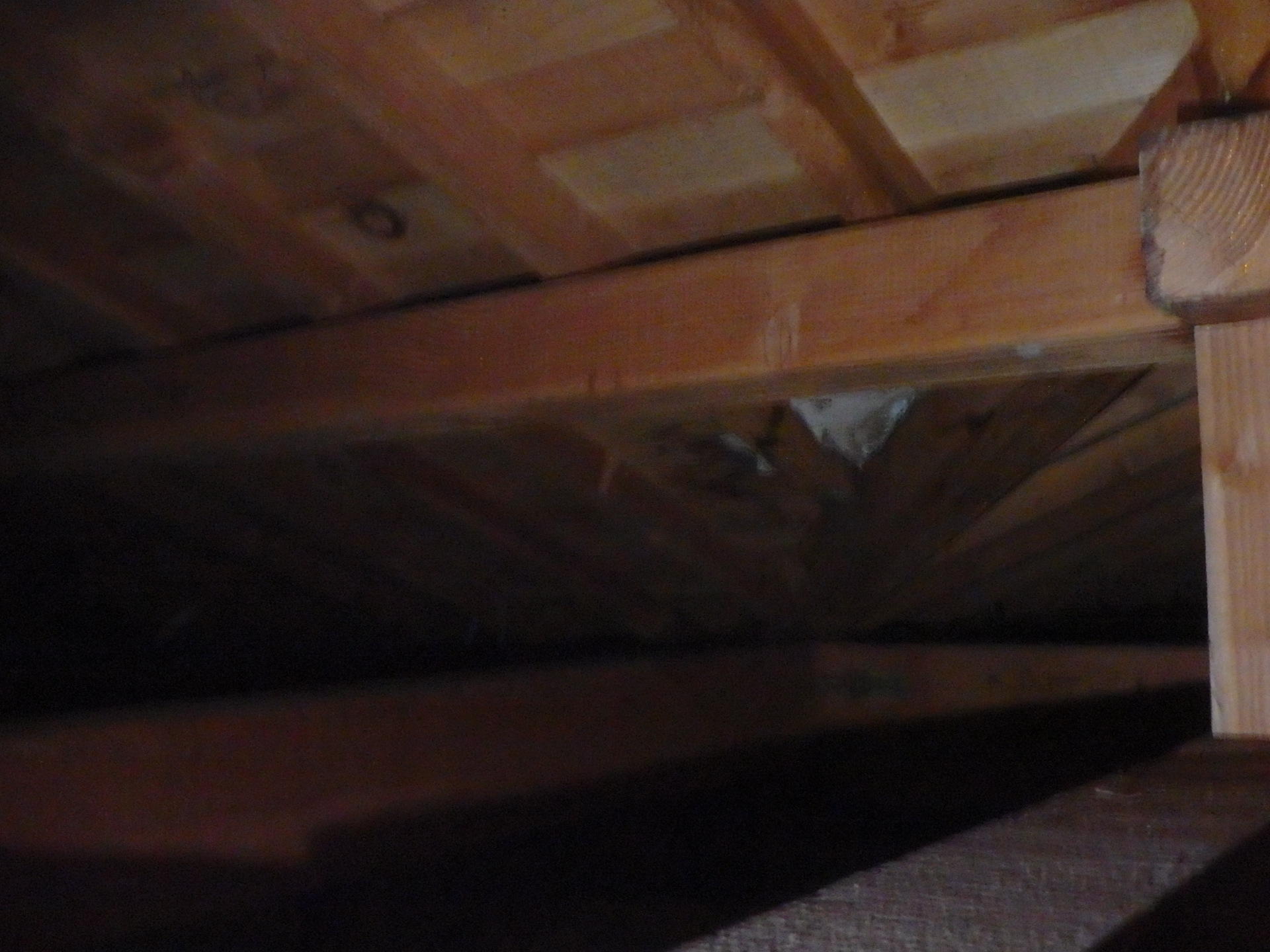 雨漏り箇所写真