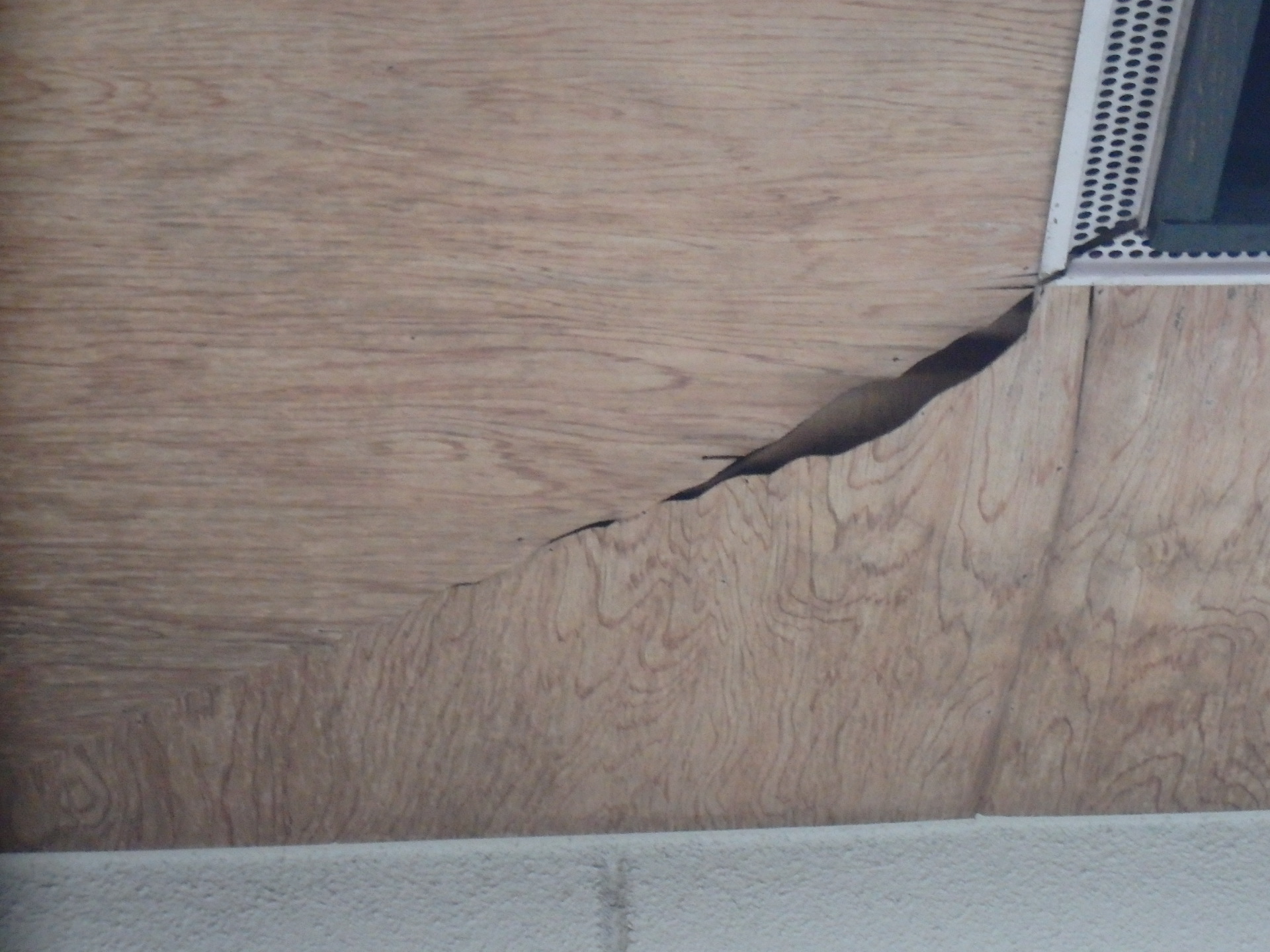 雨漏り箇所写真