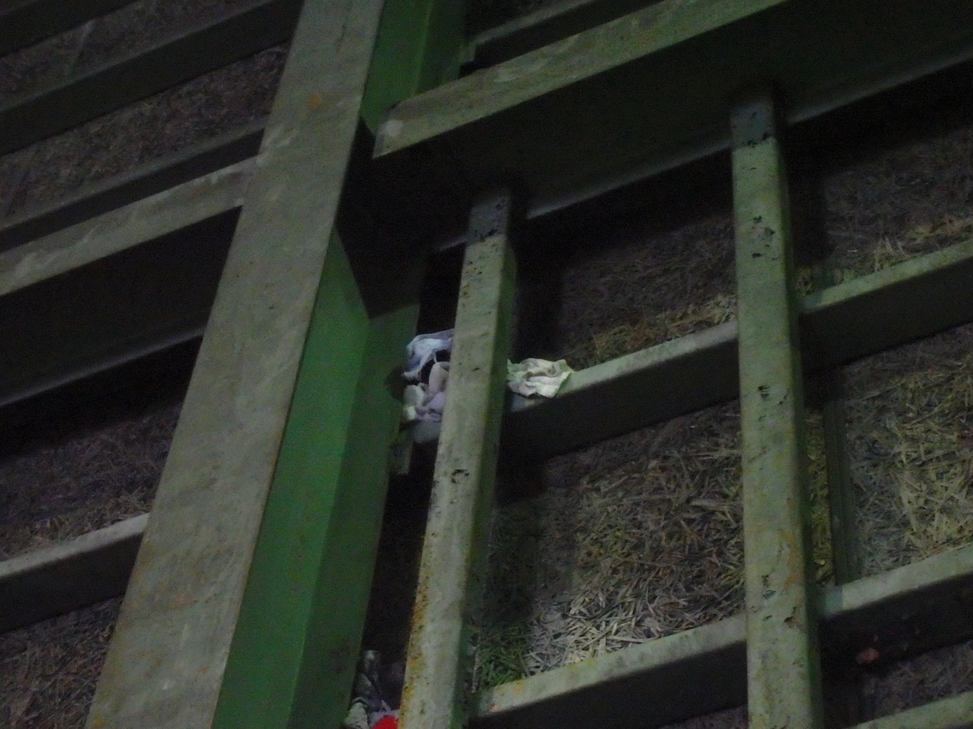 倉庫内雨漏り写真