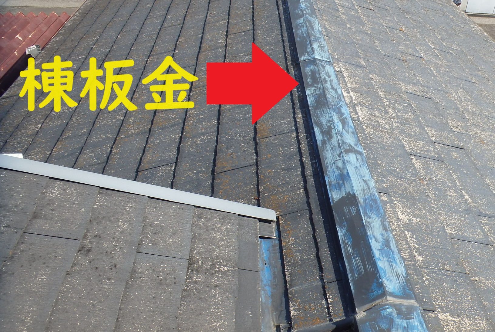 棟板金