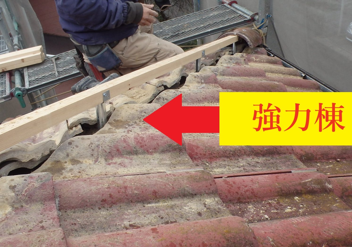 強力棟設置