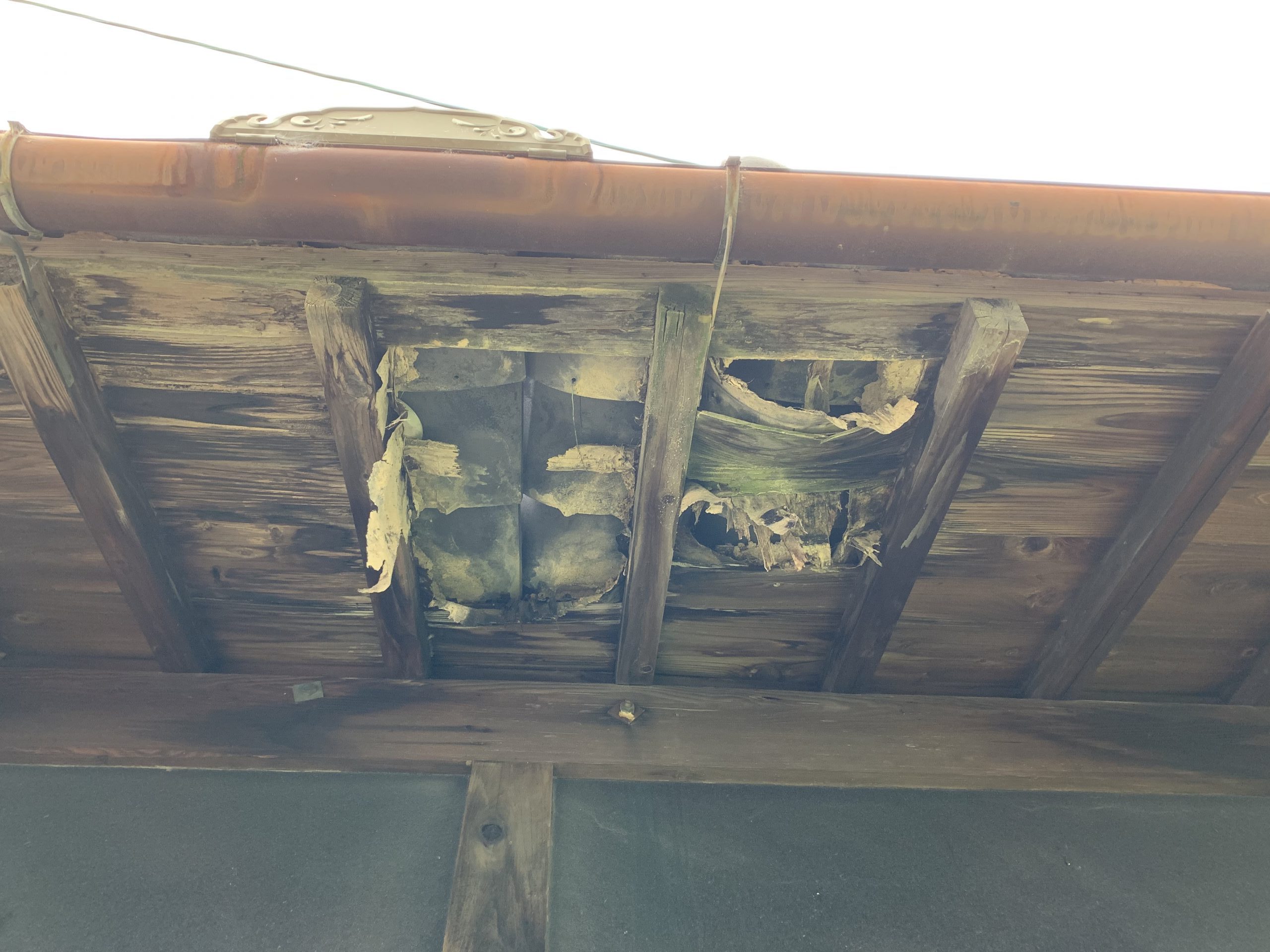 腐食した銅板の谷樋