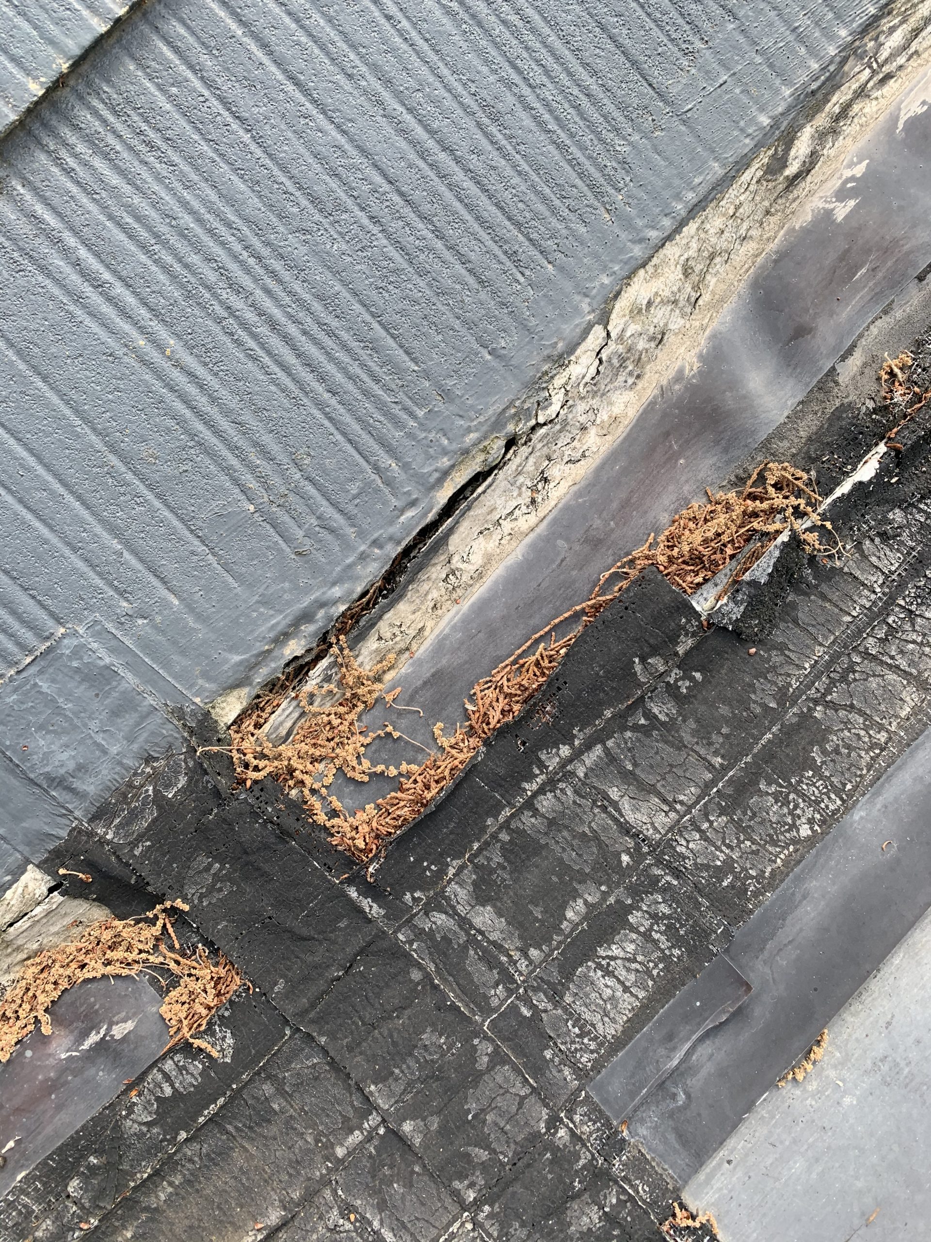 増築部の解体調査写真