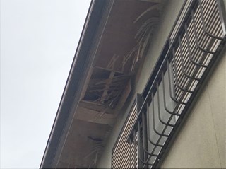 軒天の台風被害箇所