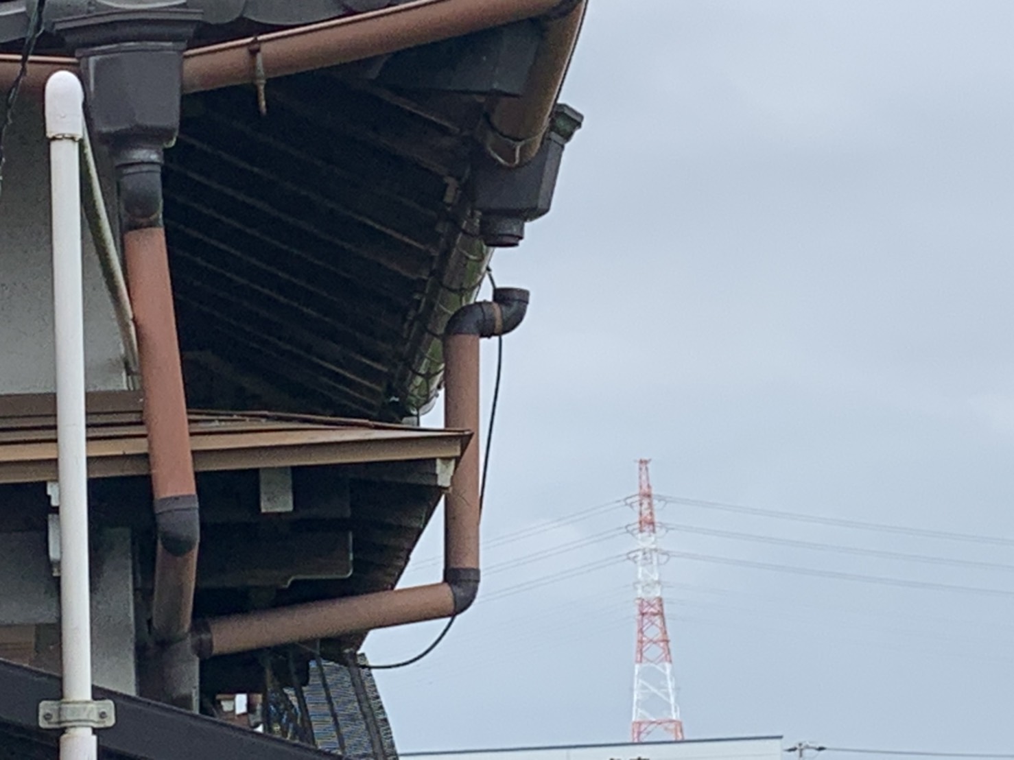 雨樋したから見た写真