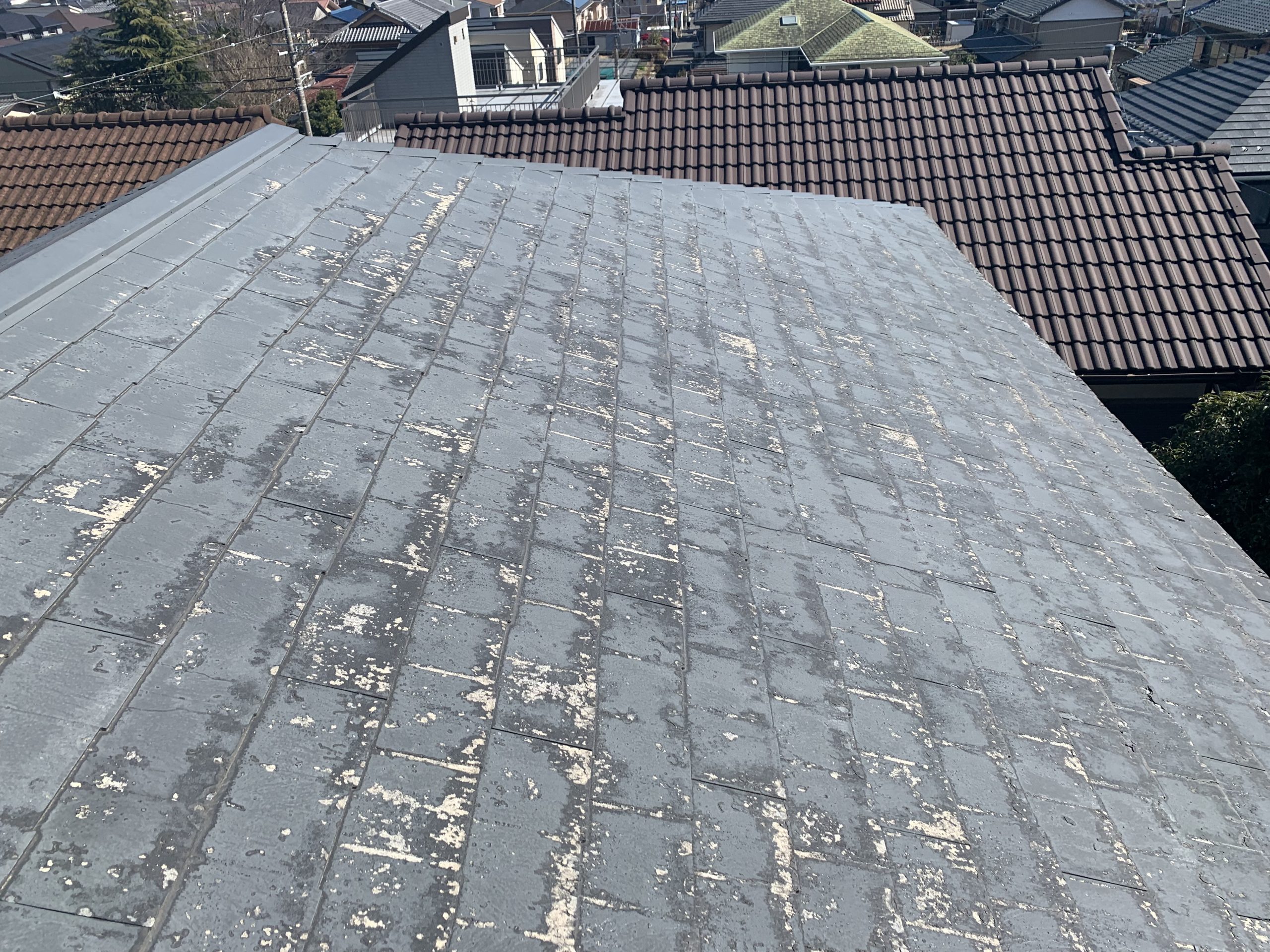 調査中の屋根全景写真