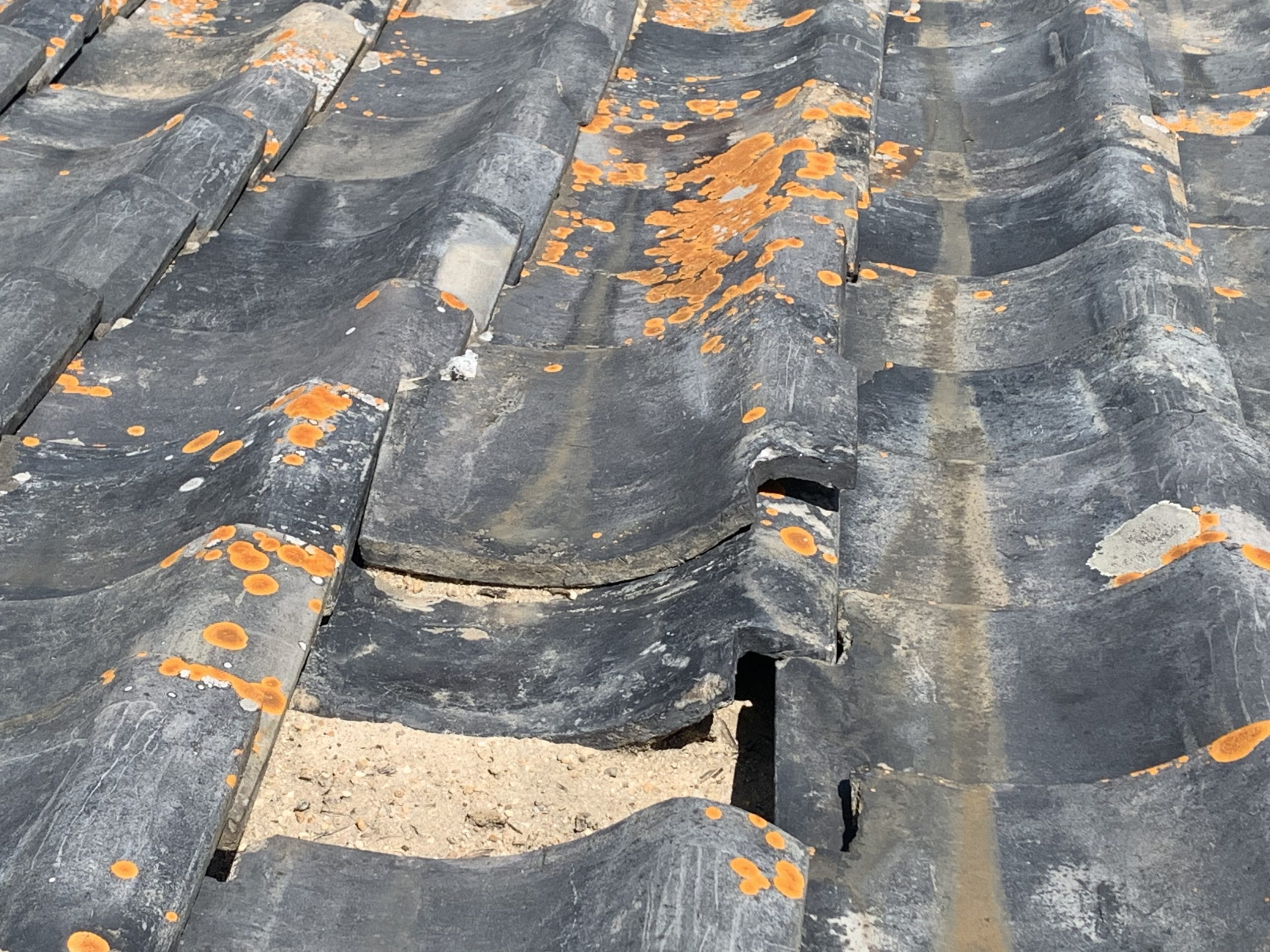 雨漏りが発生している瓦屋根