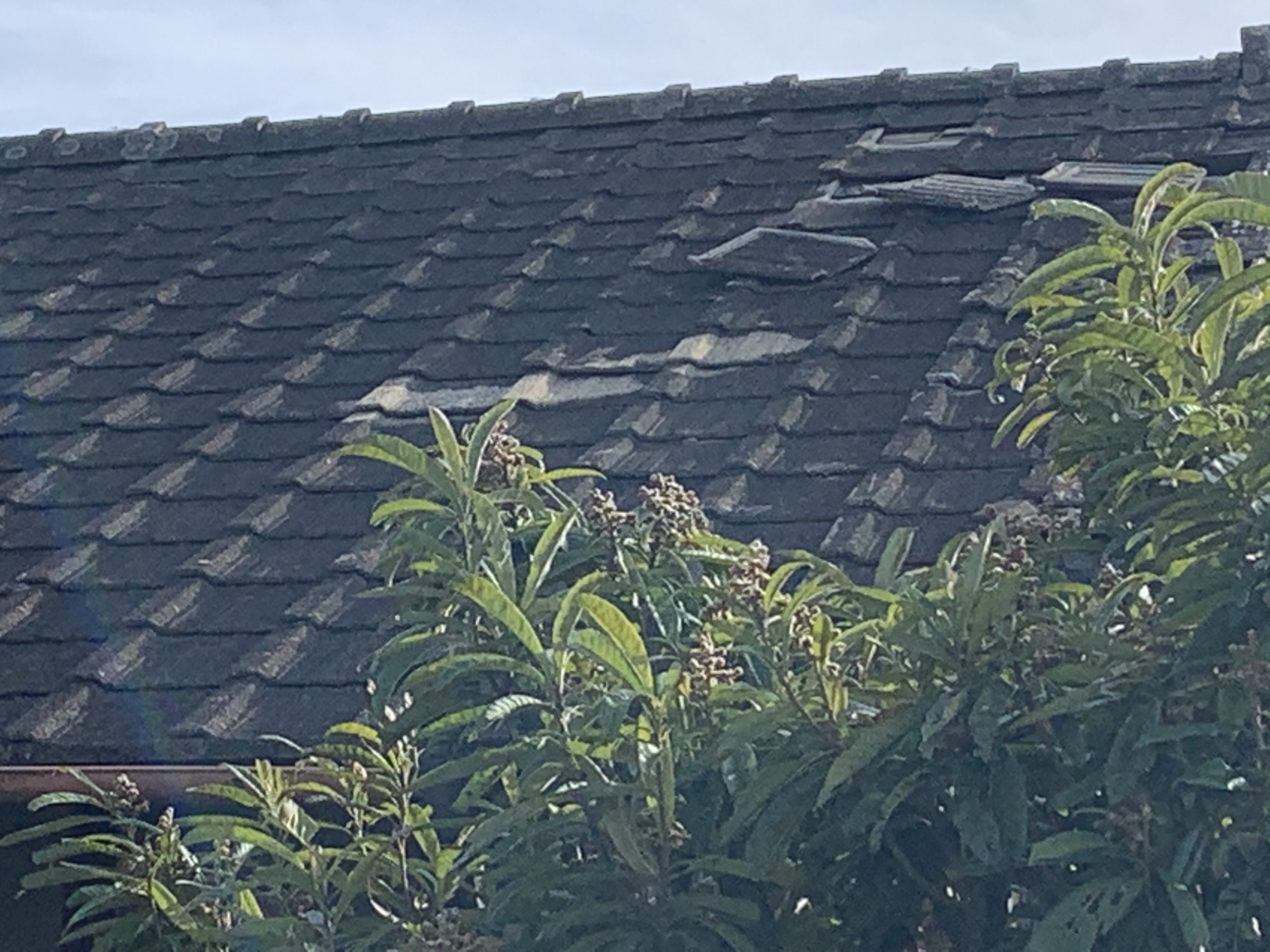 雨漏り発生現場