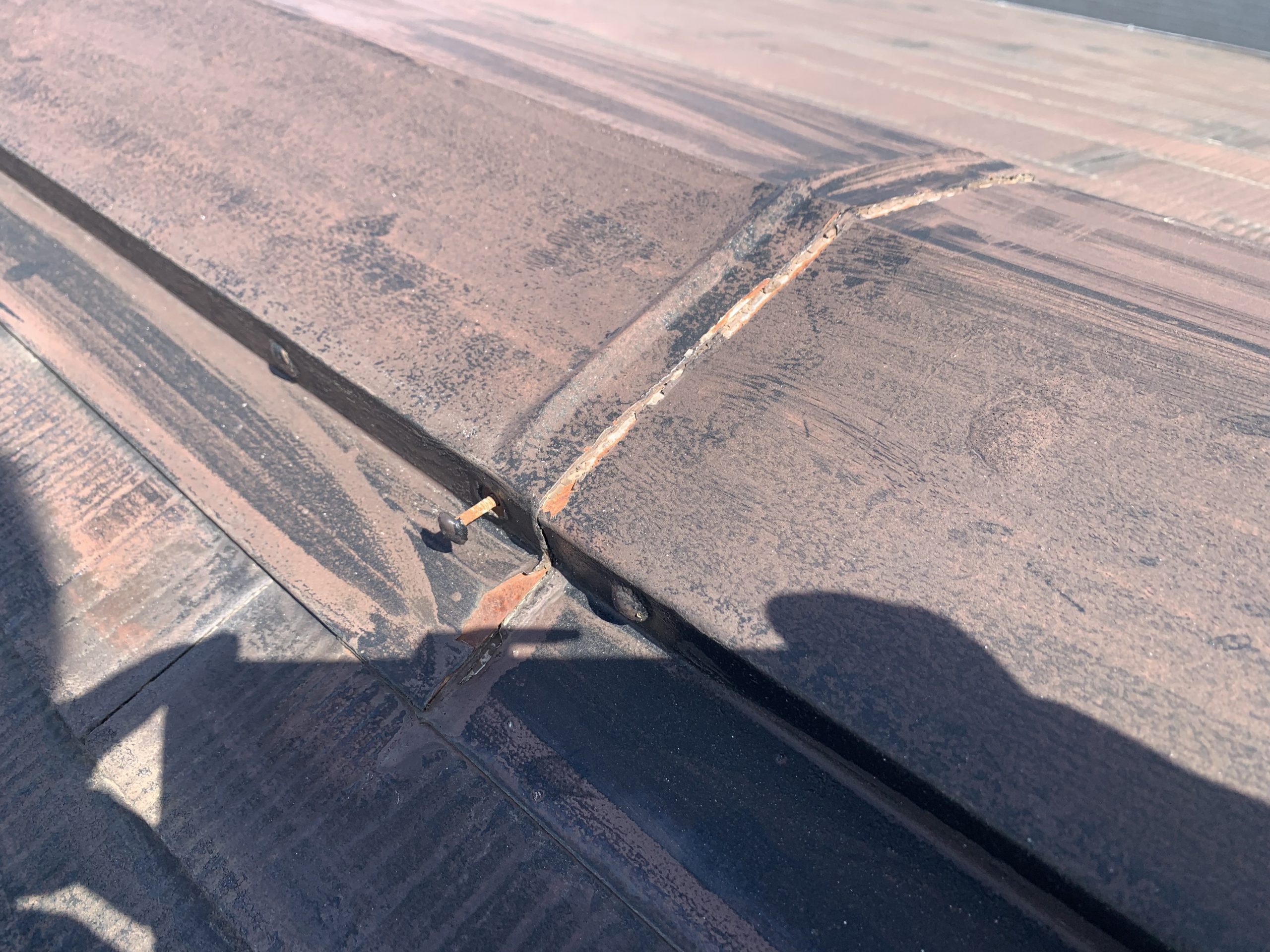 釘の浮き／貫板の腐食箇所