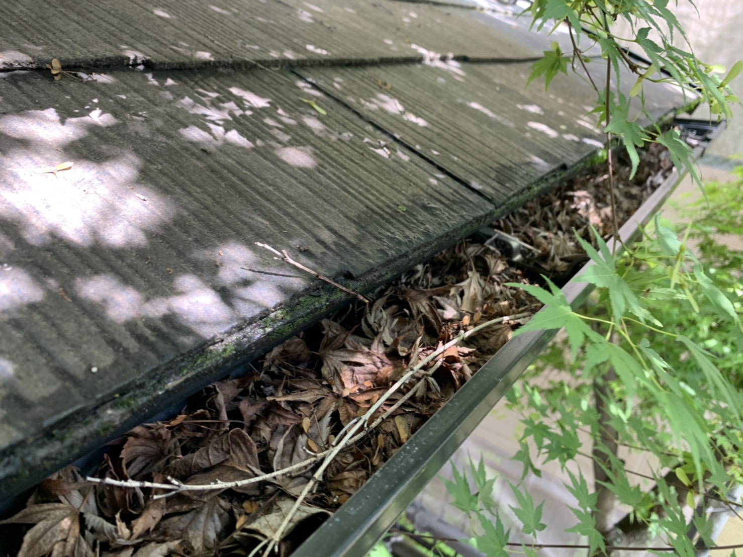 横樋ジョイント部分