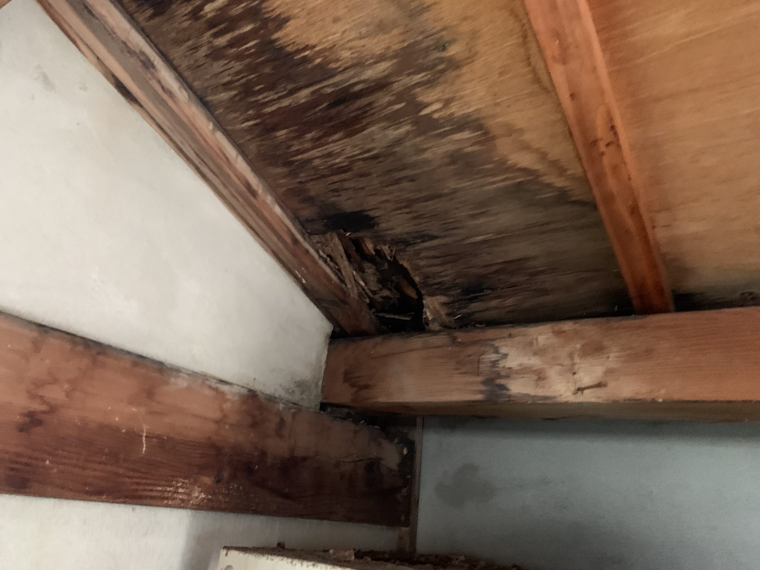 春日井市｜最近増えている雨漏りの原因と対策を徹底解説！