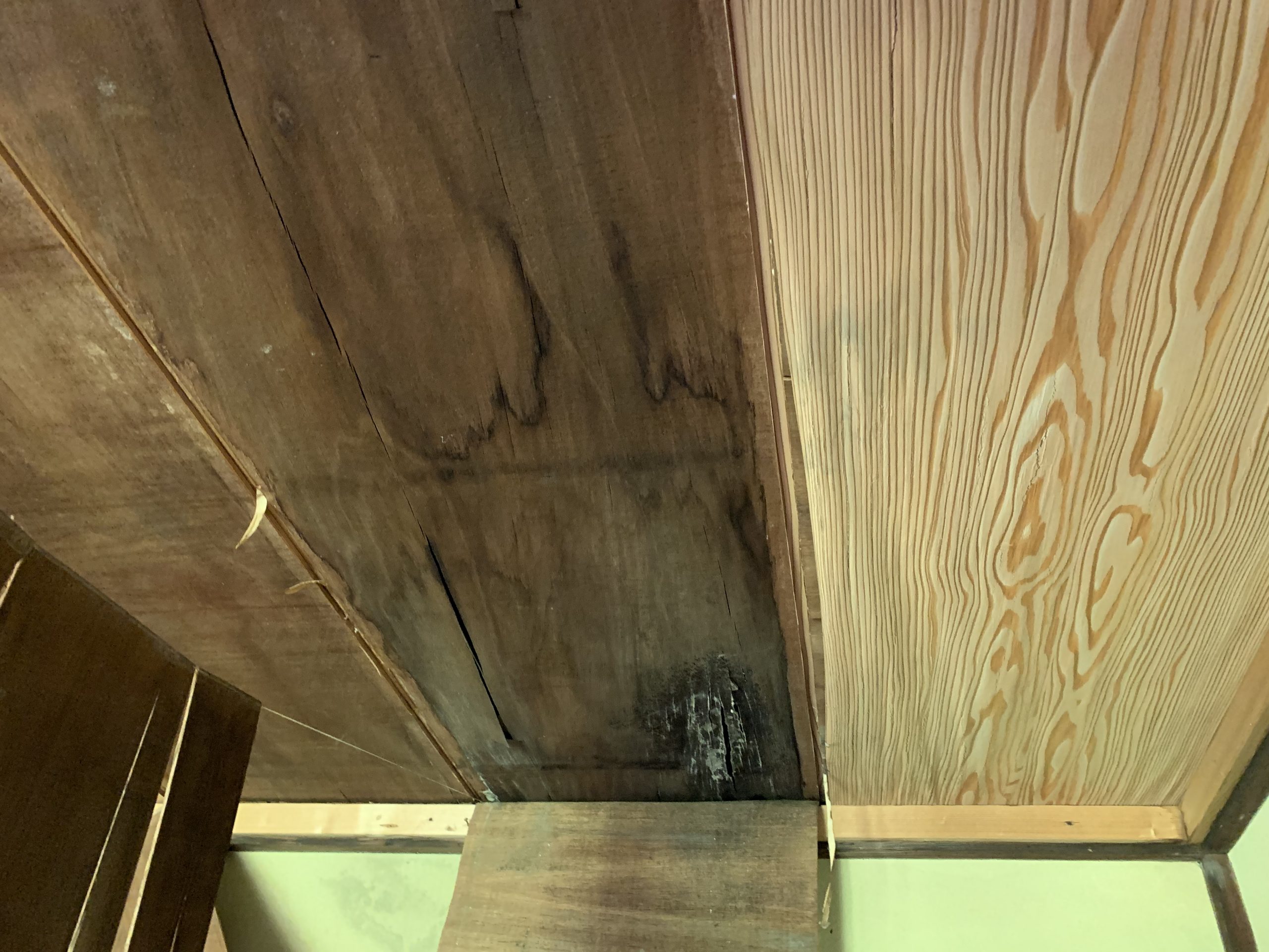 雨漏りが発生していた室内の状況