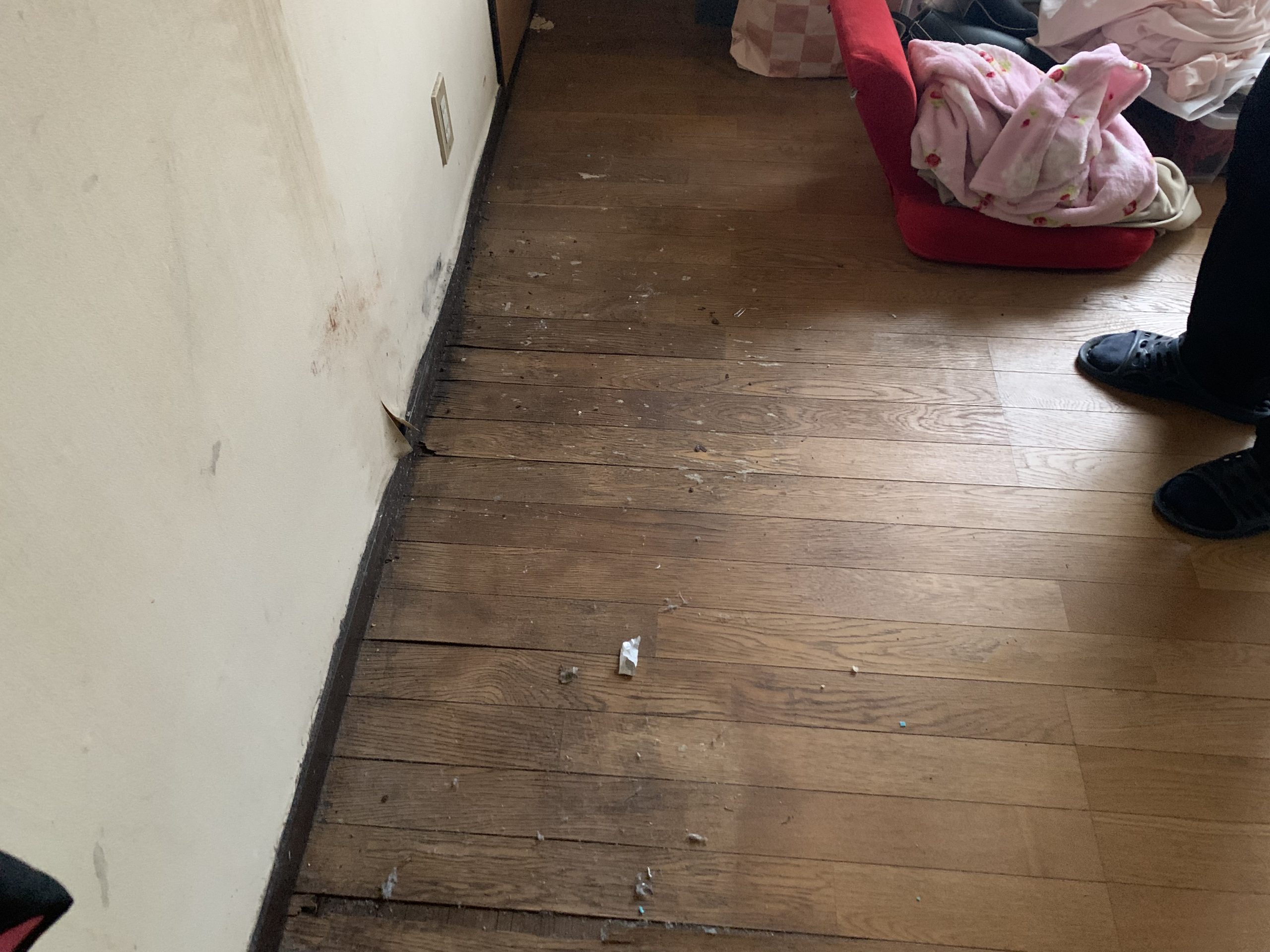 室内天井の雨染み・抜け落ち箇所の写真