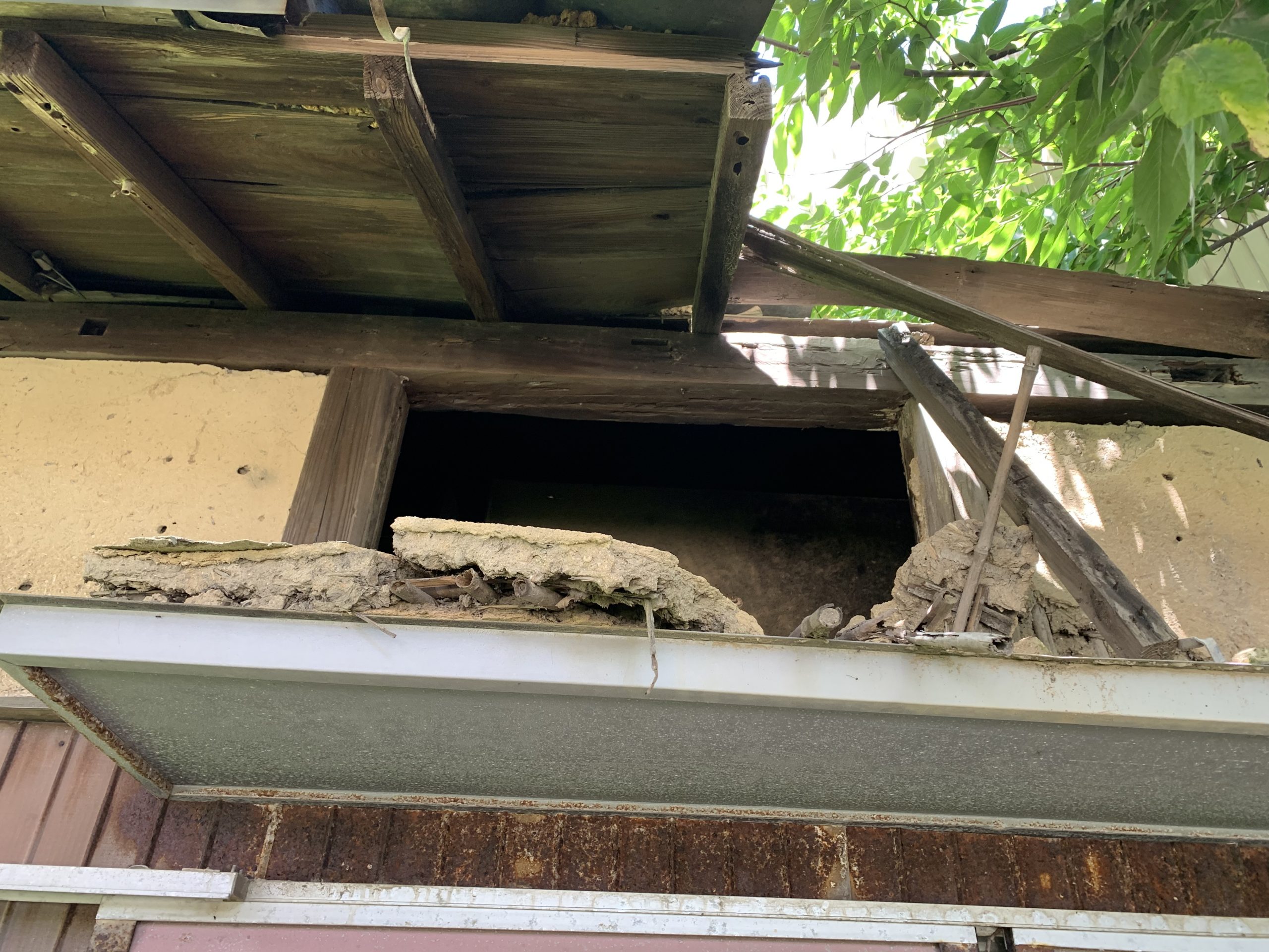 瓦屋根 下地腐食