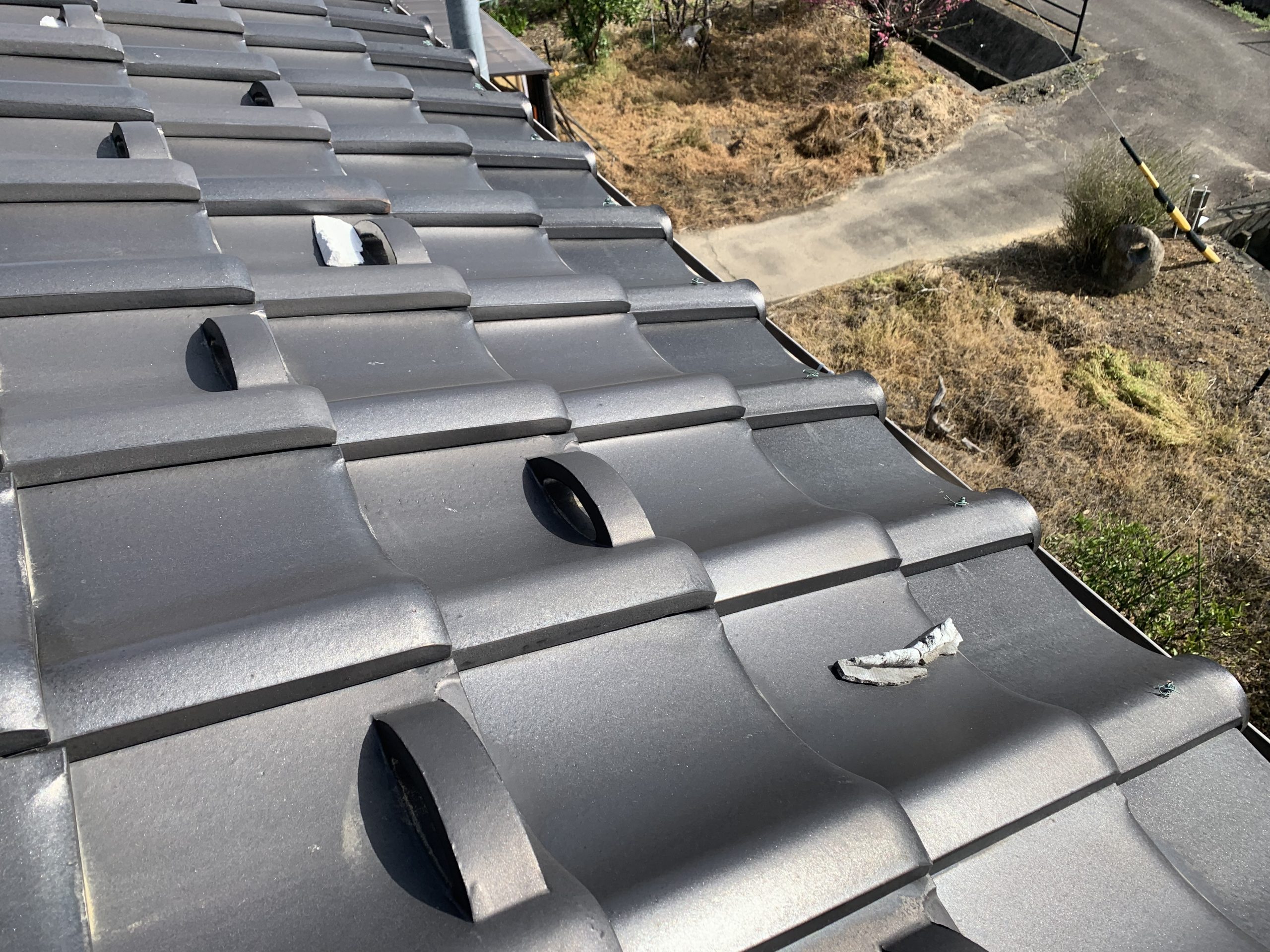 落ちてきた漆喰の欠片