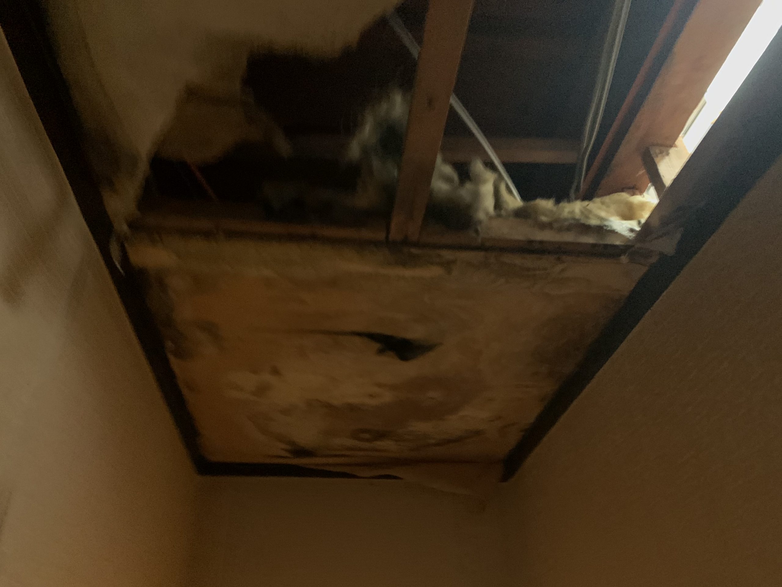 室内天井の雨染み・抜け落ち箇所の写真