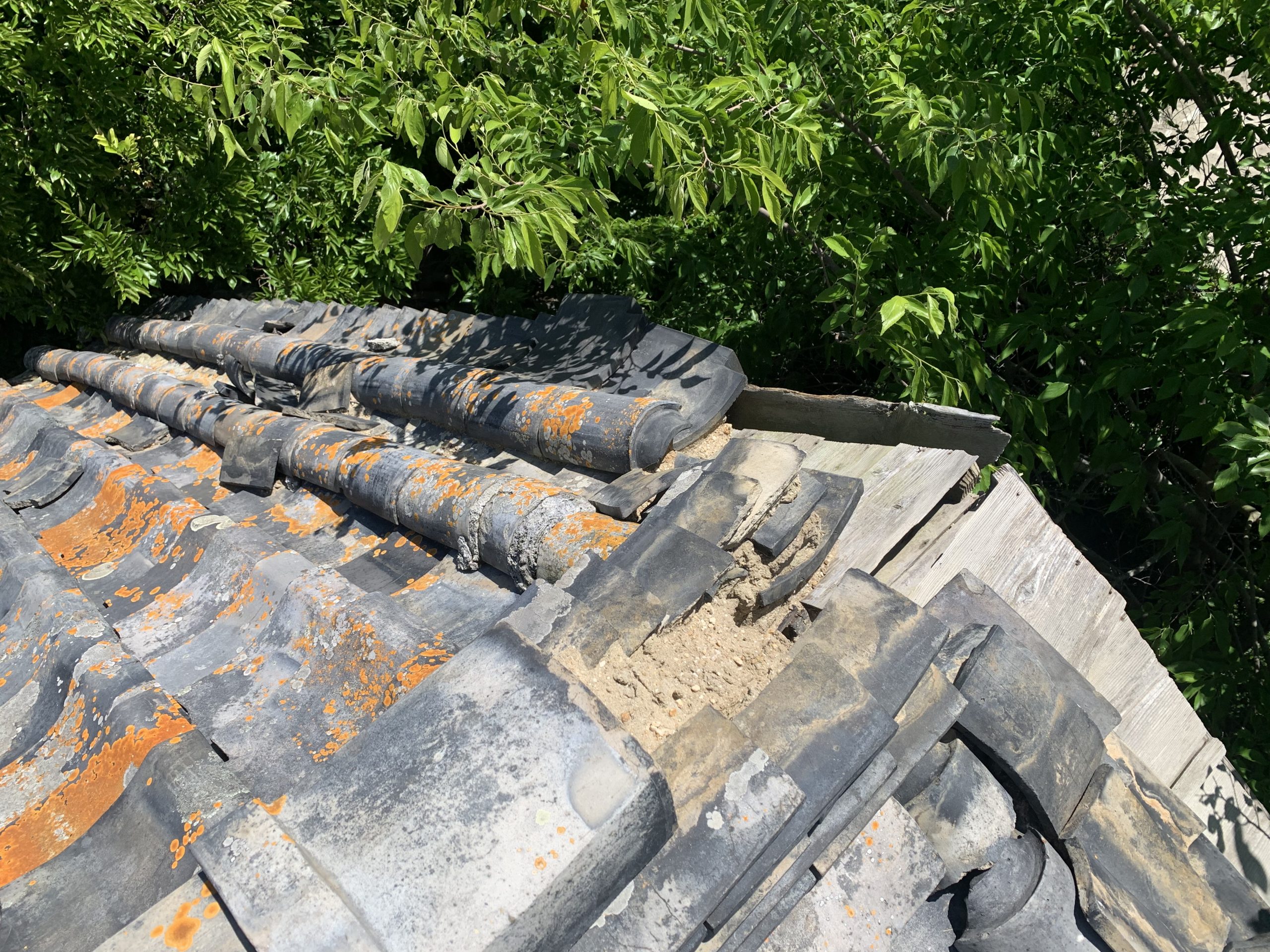 瓦屋根 下地腐食