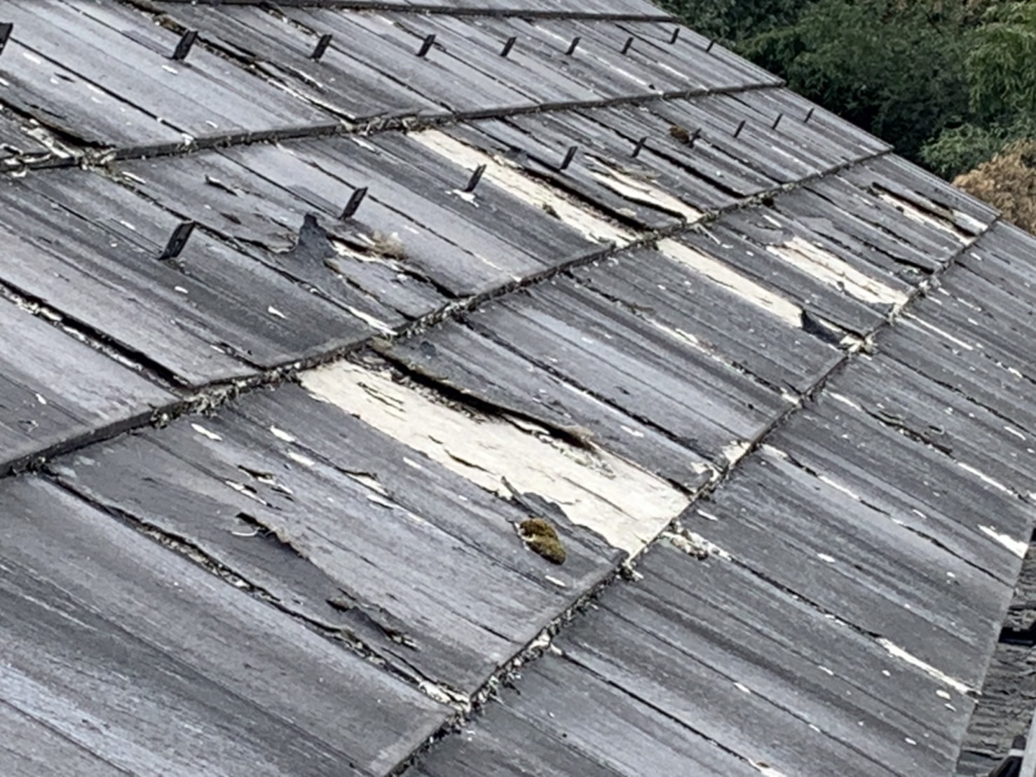 スレート屋根(ワンダセラ)