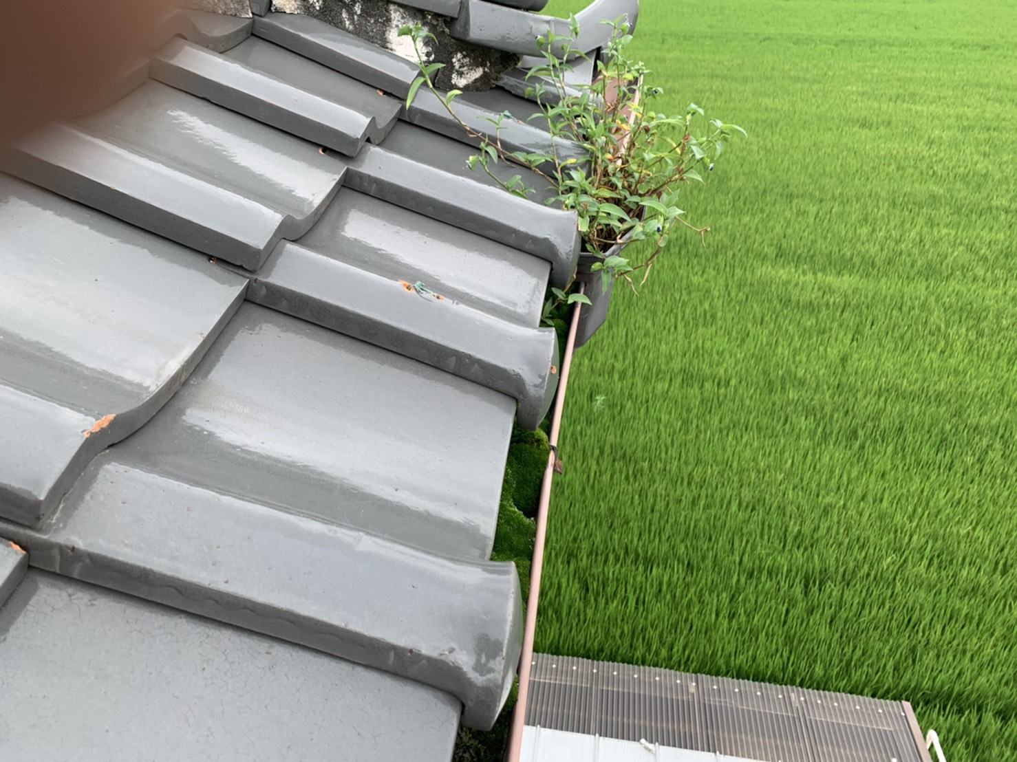 2階屋根の調査