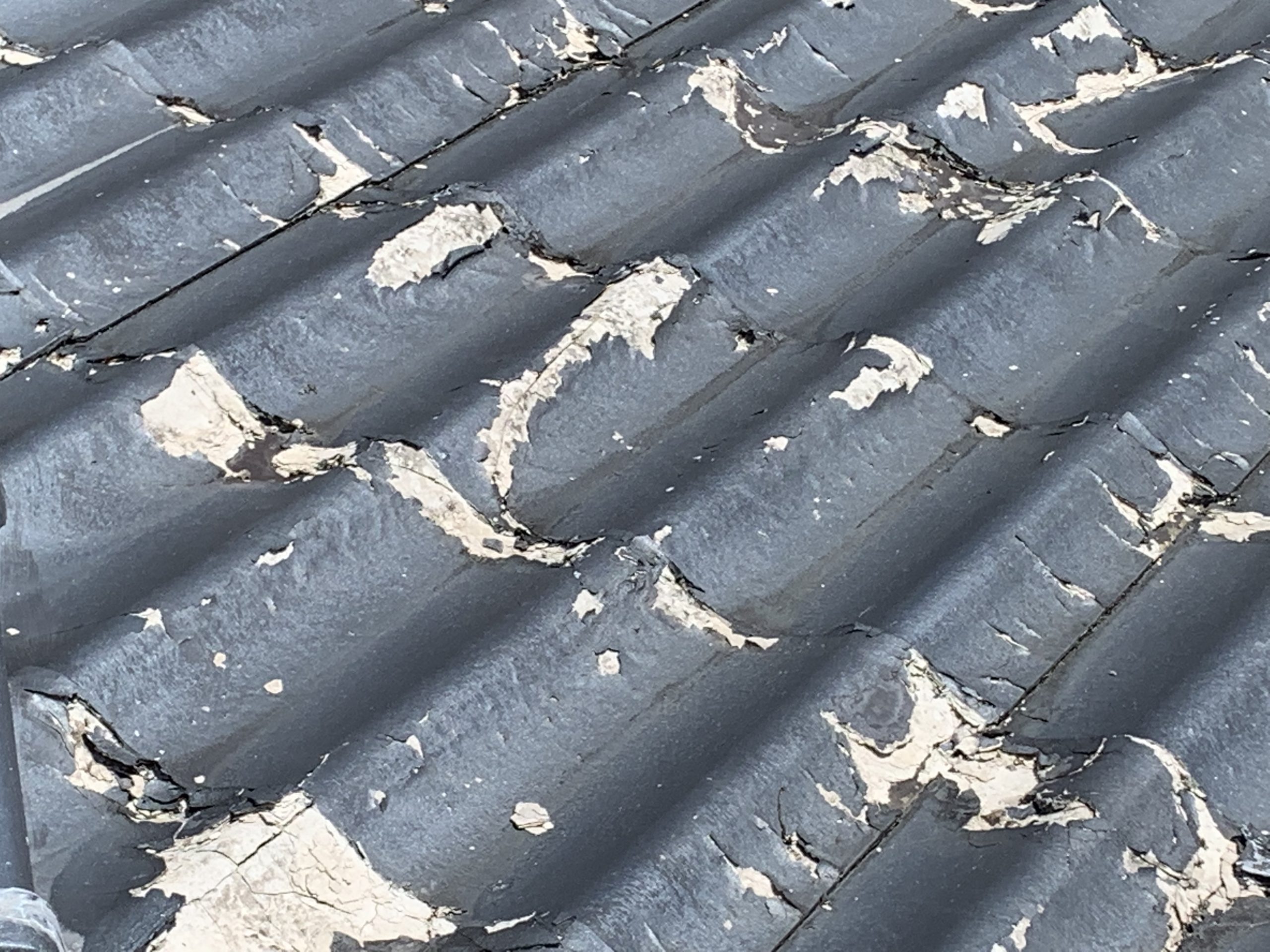 パミール、セキスイかわらU