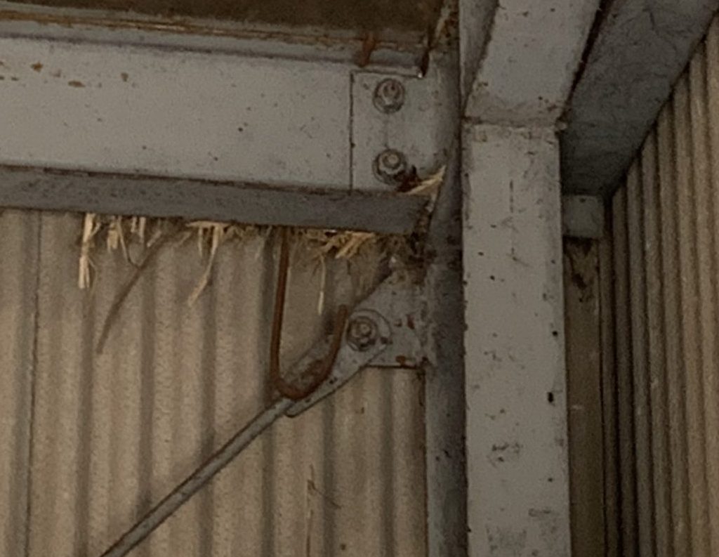 【小牧市】貸し倉庫のスレート屋根カバー工法と鳥害対策｜現地調査レポート