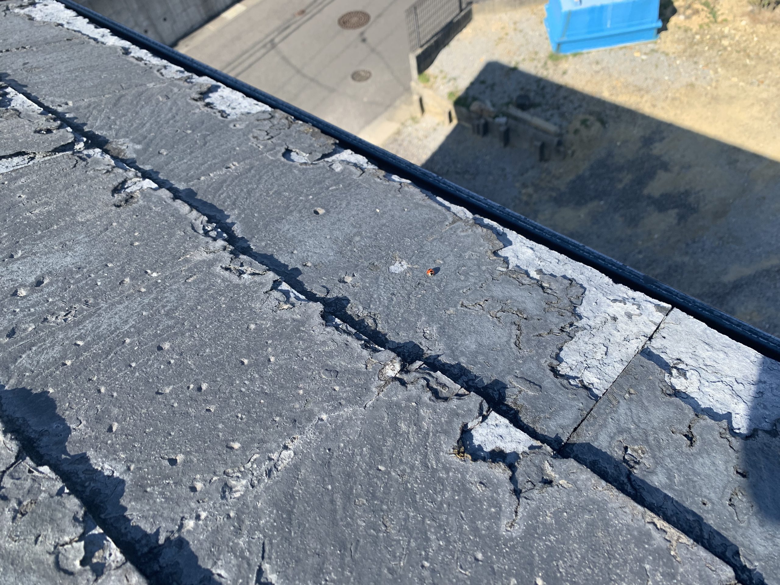 調査中の屋根全景写真