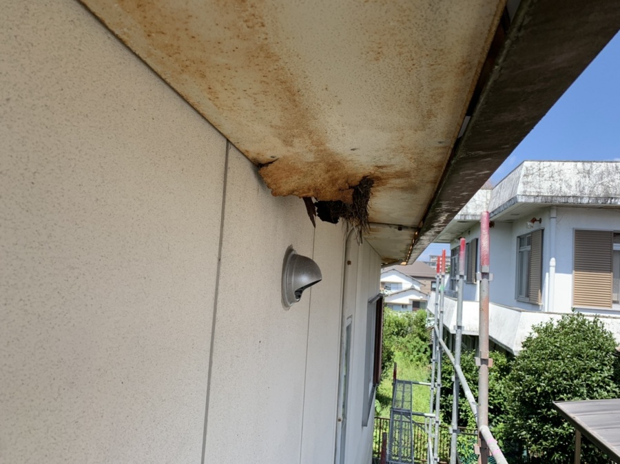 軒天の上張り（穴あき・サビ・鳥害）