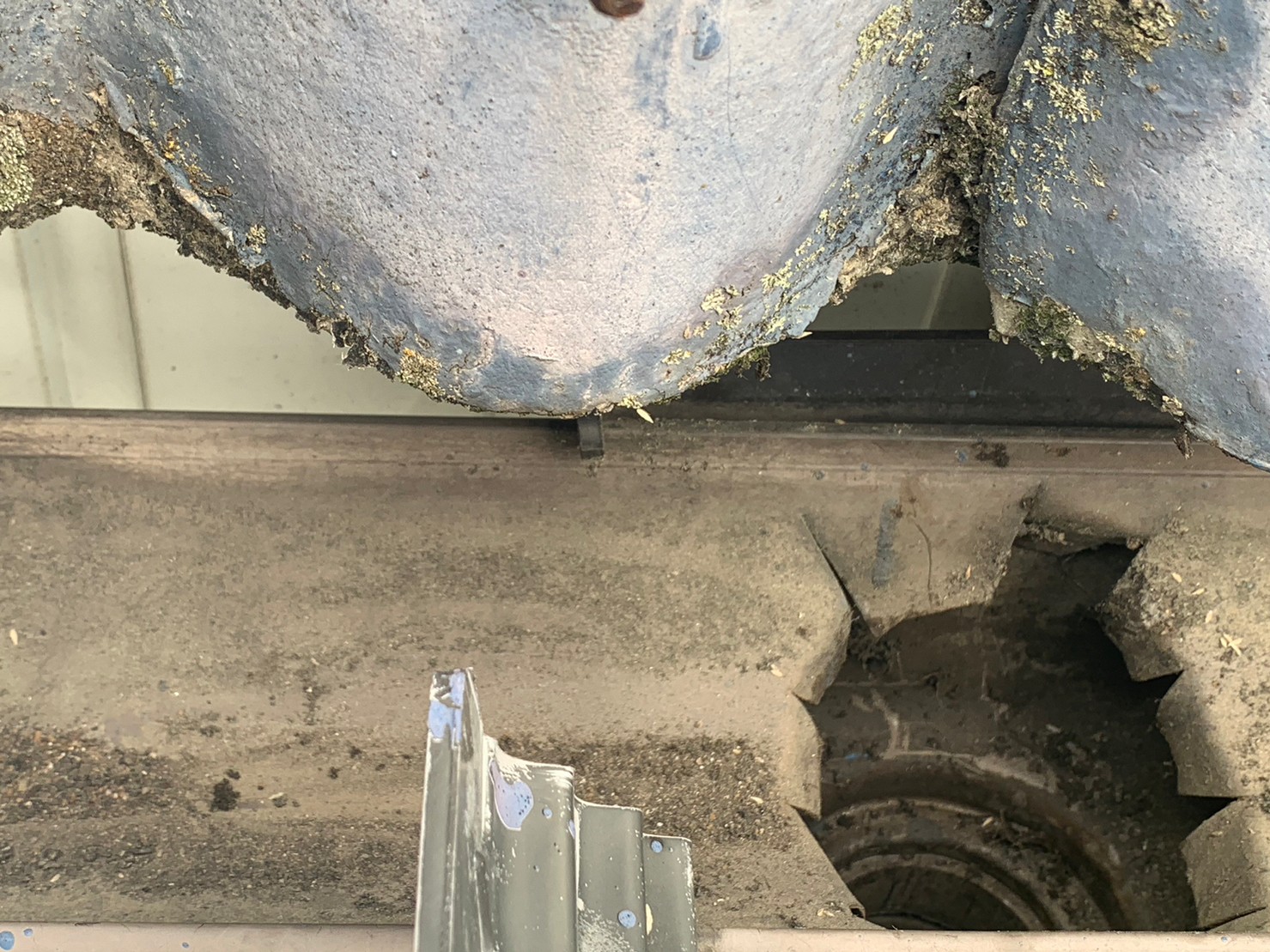 雨樋詰まり写真2