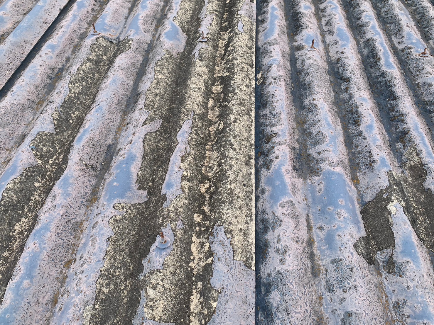 スレート屋根の劣化写真