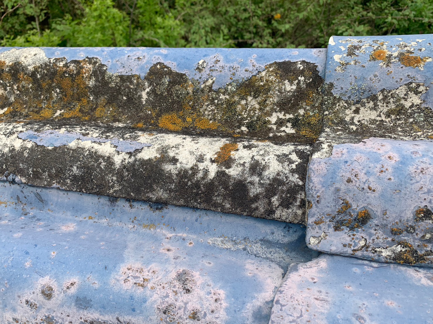 スレート屋根の劣化写真