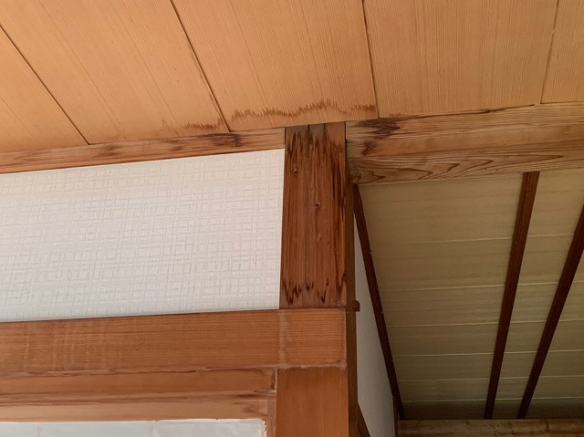 室内天井からの雨漏り状況