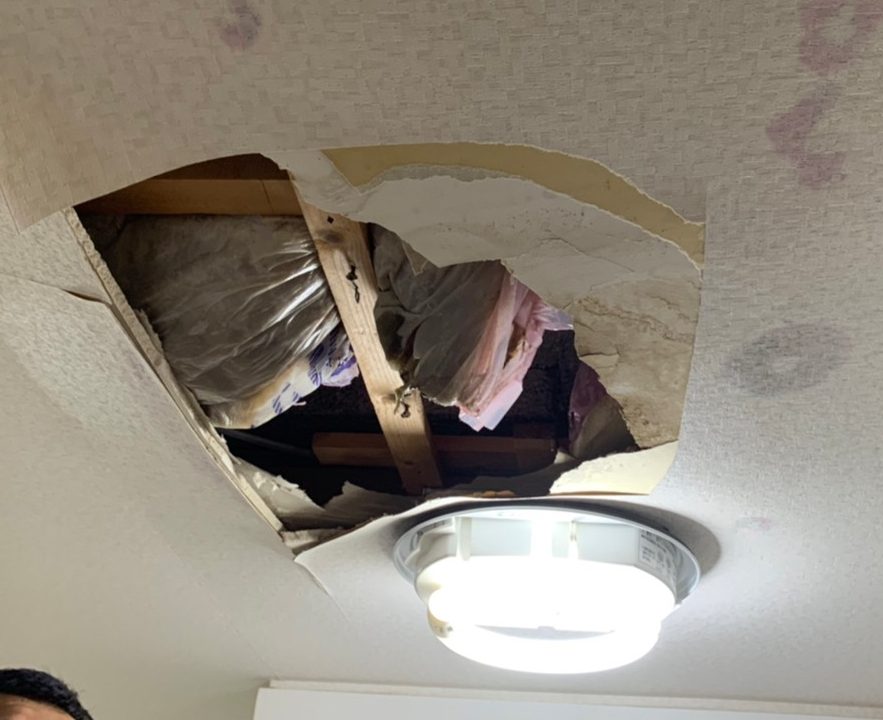 石膏ボード撤去後の天井裏写真