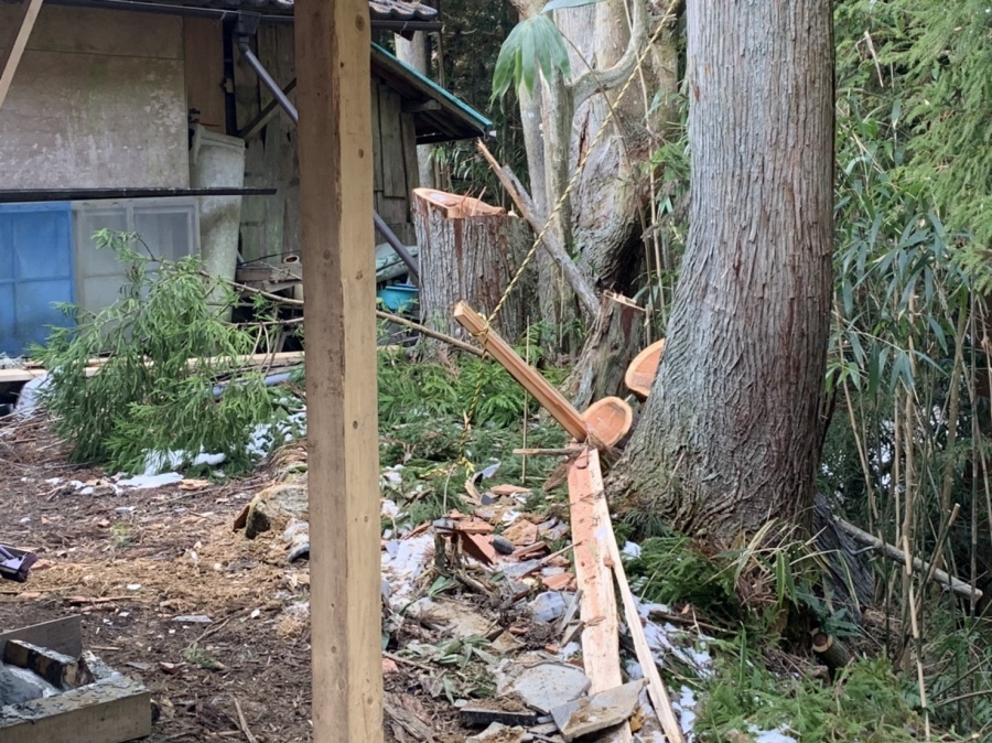 倒れた樹木で隣の家の屋根が破損